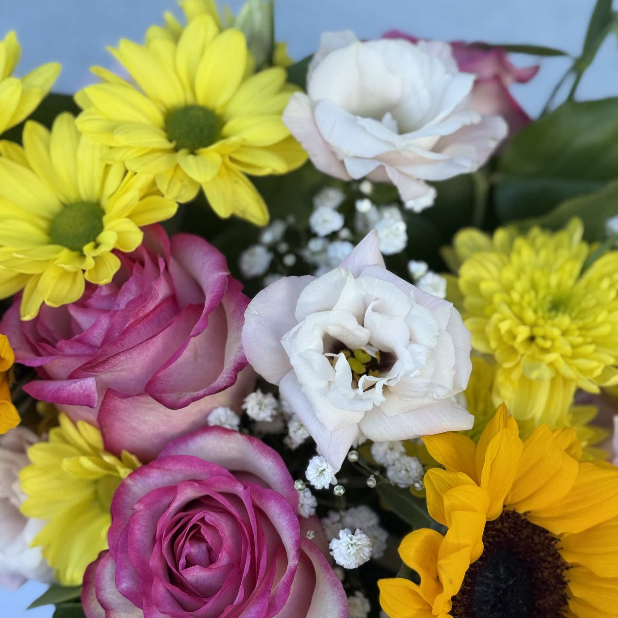 Bee coffee mug filled with daisies, sunflowers, roses and lisianthus.

Arrangement comes in