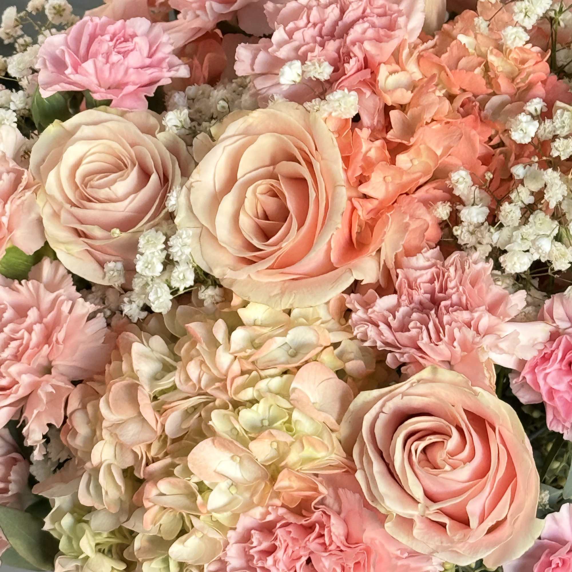 A soft, romantic blend of peach hydrangeas, pink carnations, and elegant blush