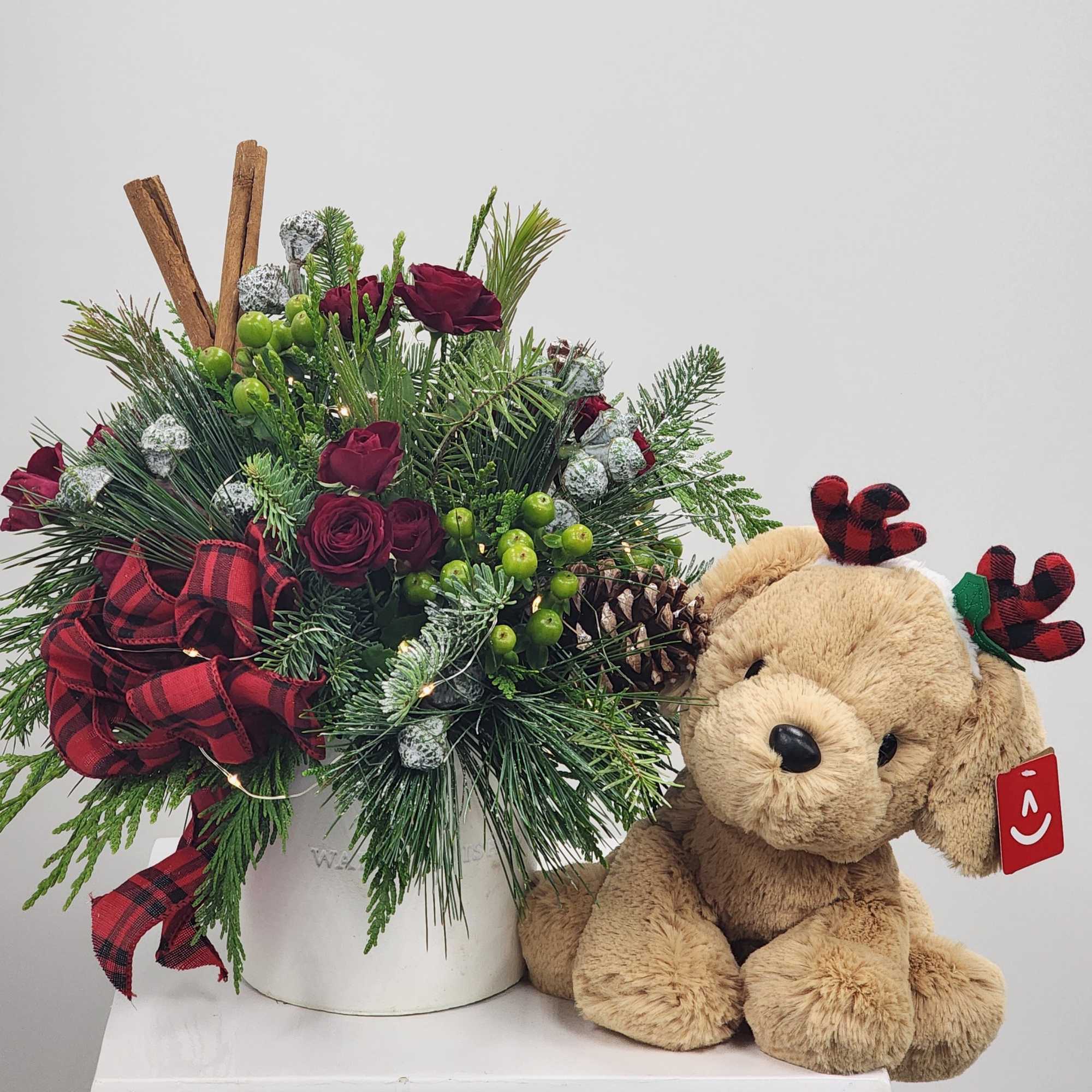 This adorable Reindeer Lab is ready to snuggle up with the Warm