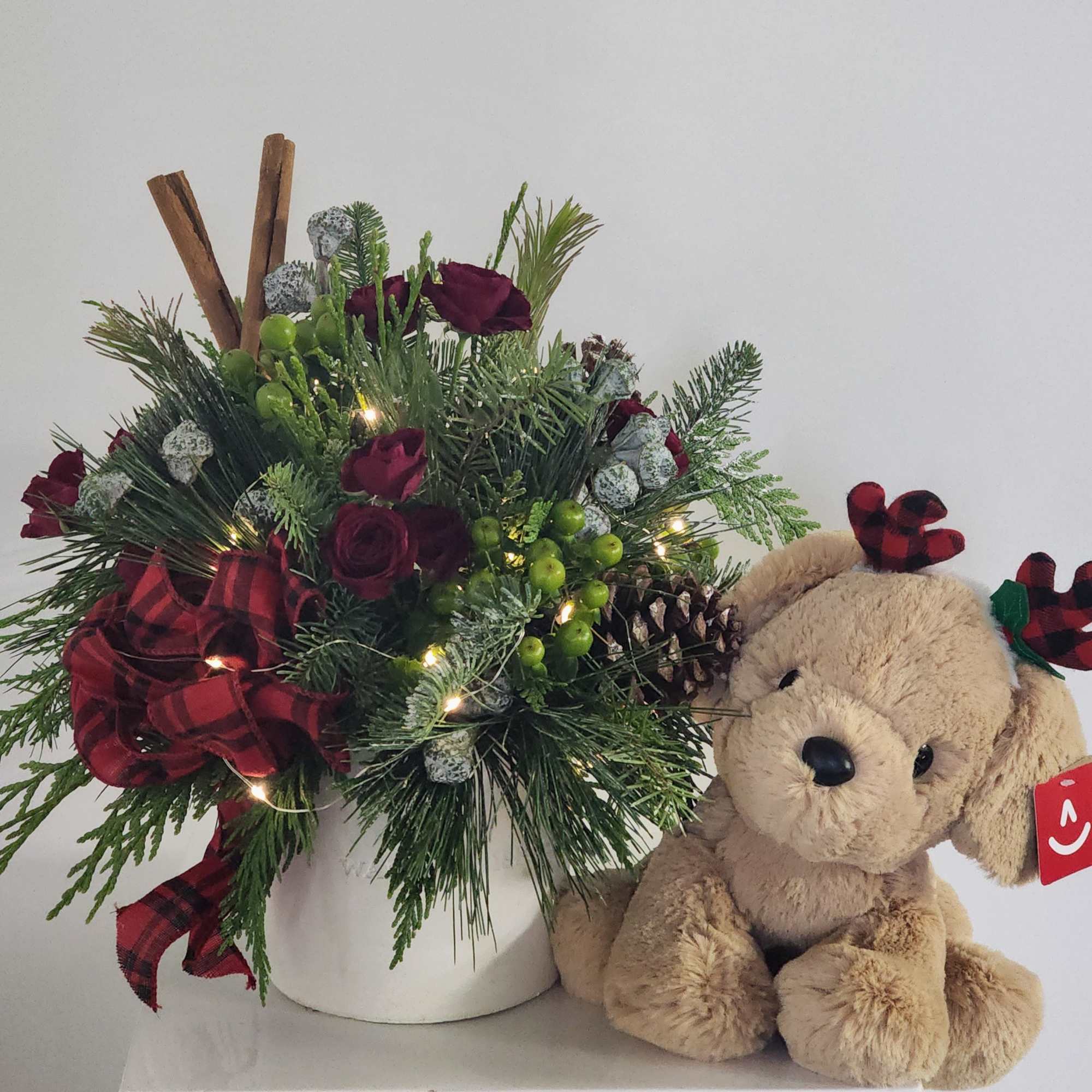 This adorable Reindeer Lab is ready to snuggle up with the Warm