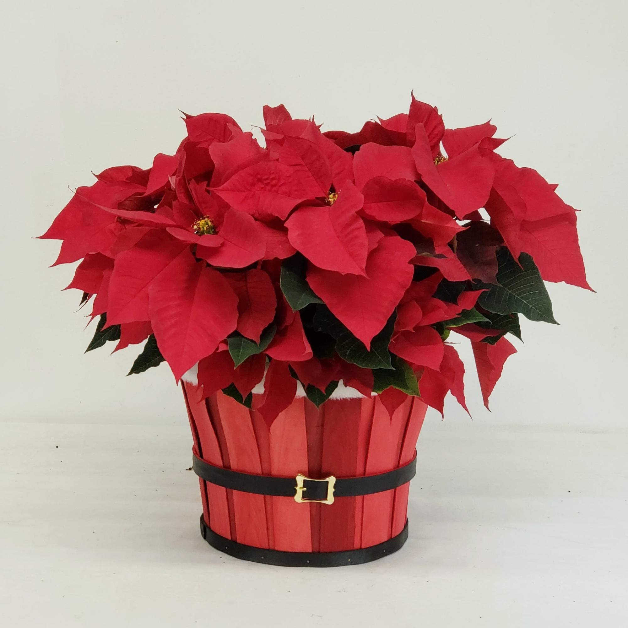Adorable wood slat basket, fur lined along top rim, and adorned with