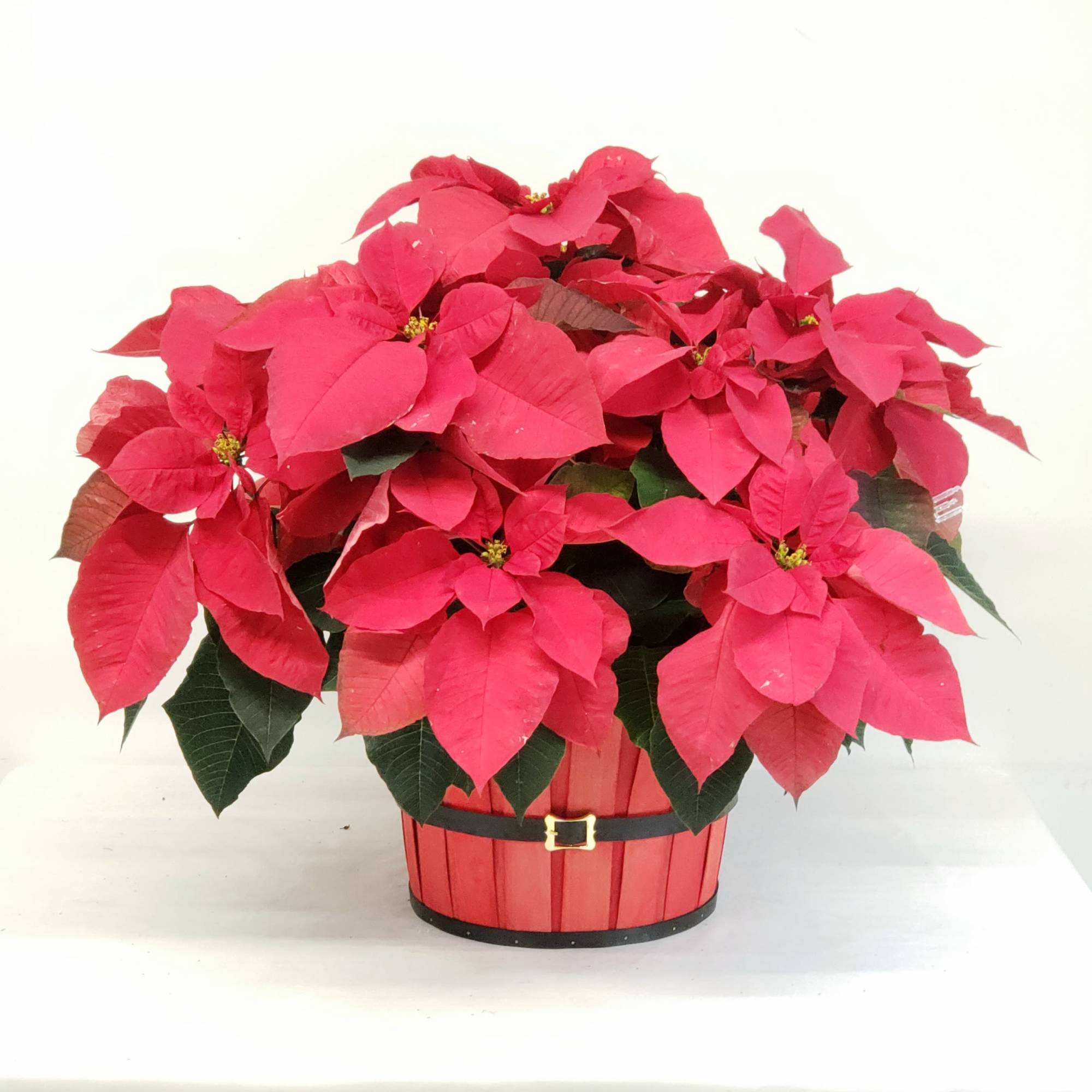 Adorable wood slat basket, fur lined along top rim, and adorned with
