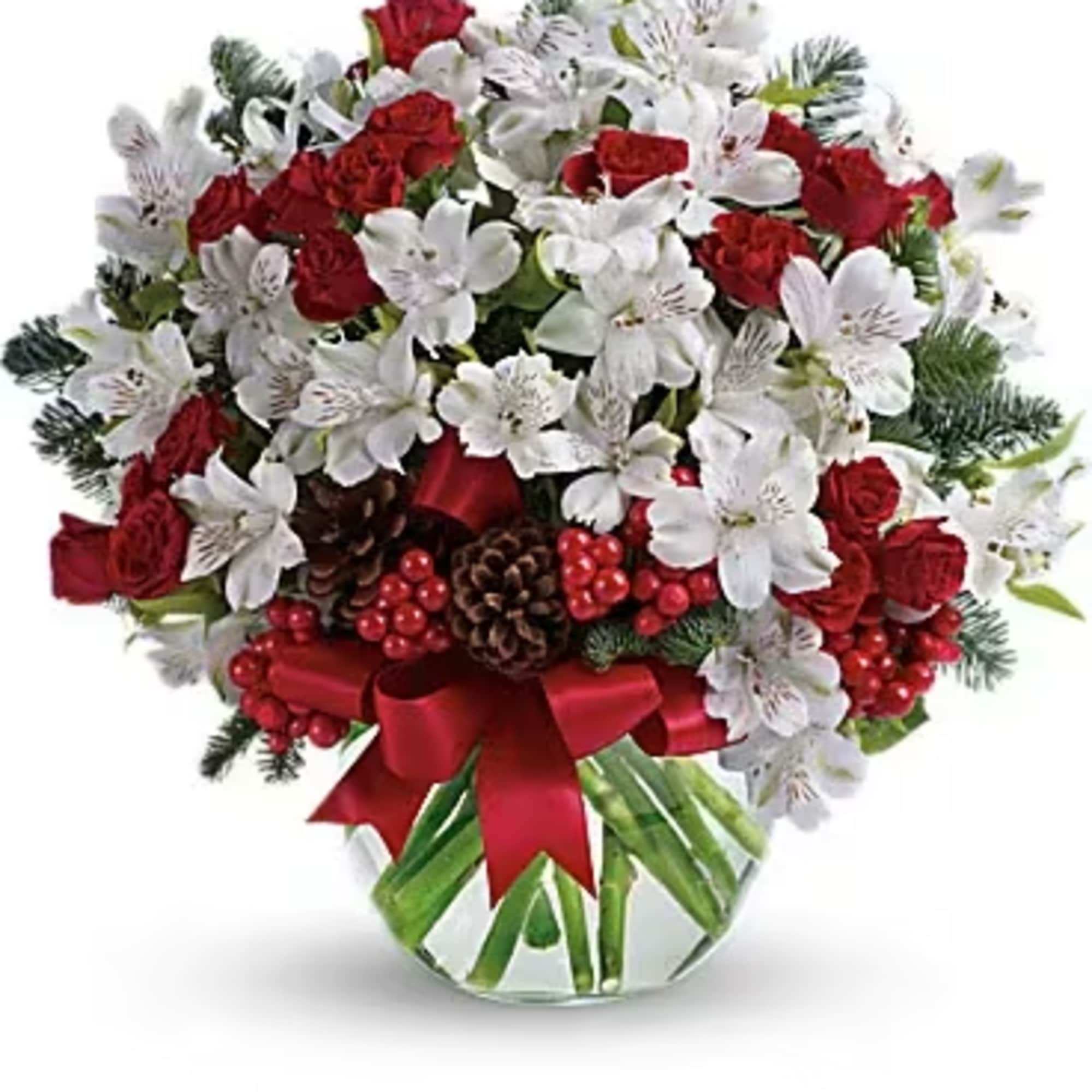 Fresh as new fallen snow. Delicate, snow white flowers are decorated with