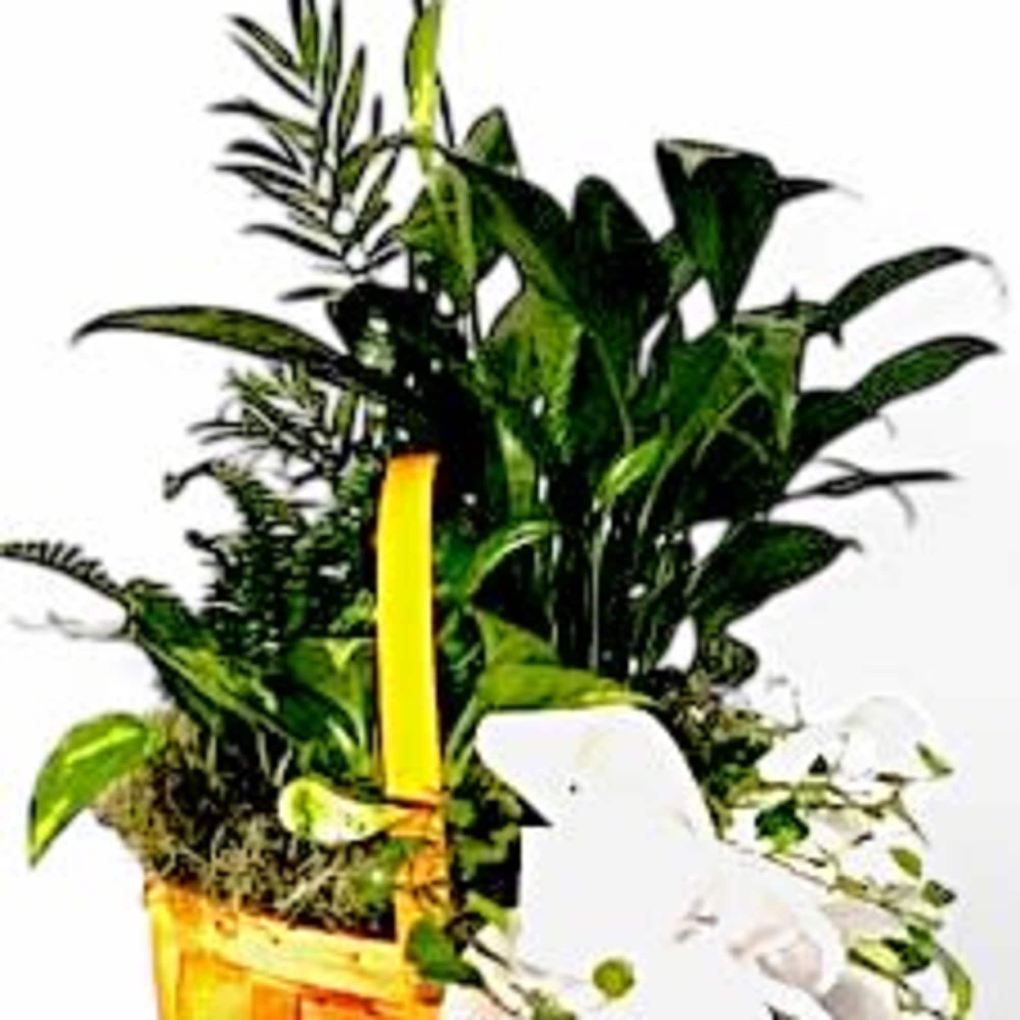 White is just right, especially when delivered in a field of green.