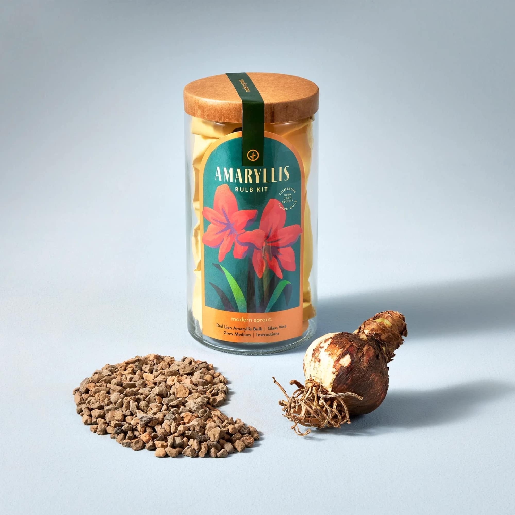 Combat winter blues with fresh blooms. Kits are elegantly packaged in a