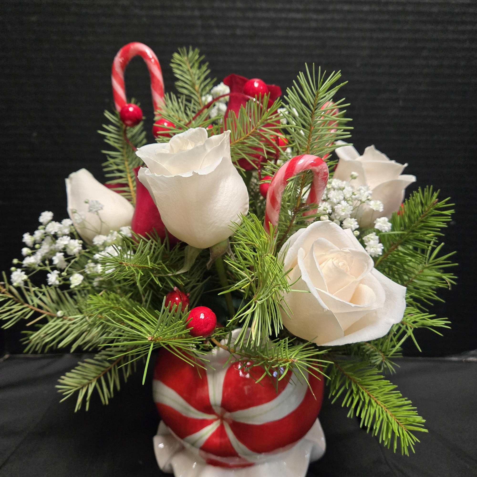 Beautiful fresh red and white roses designed with winter greens and created