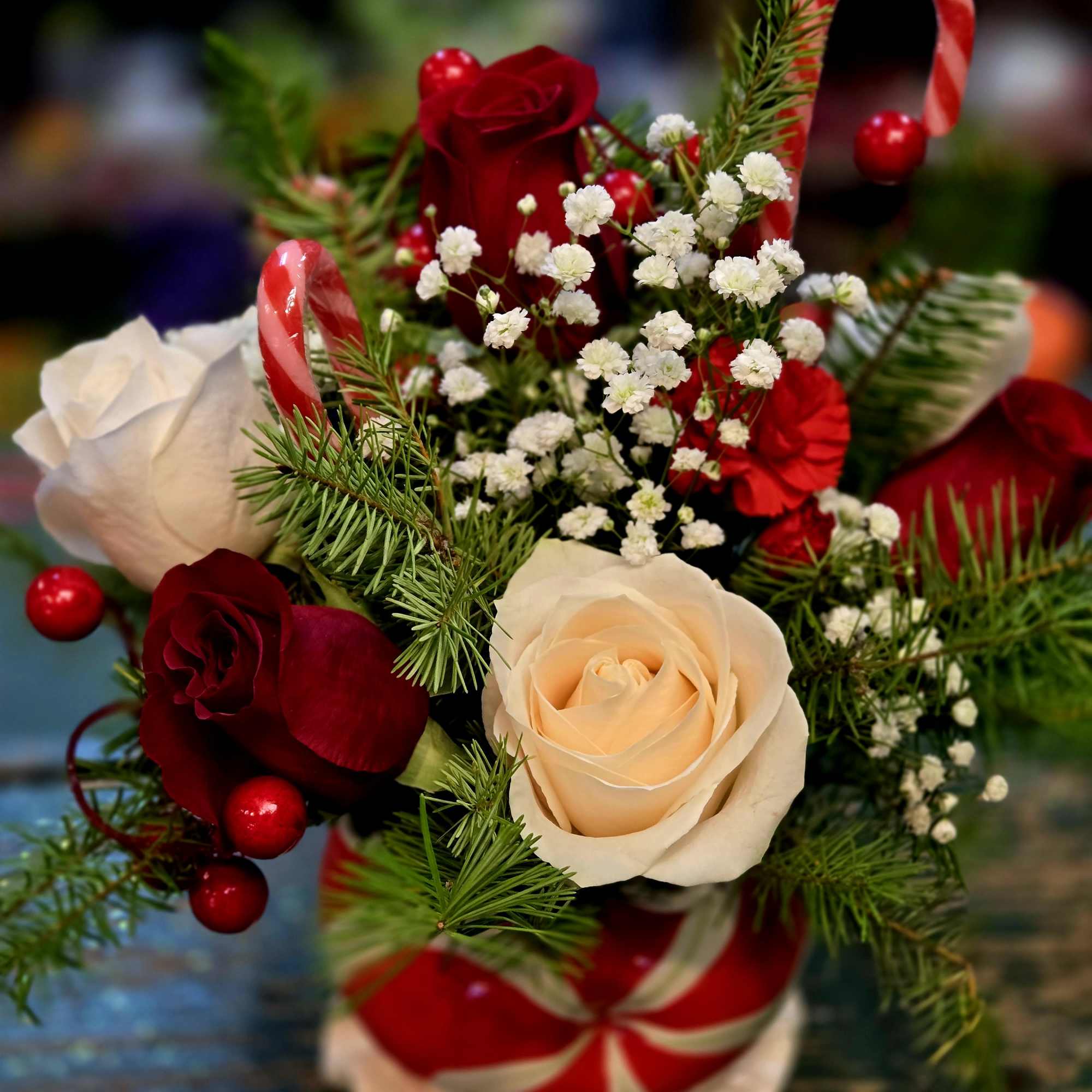 Beautiful fresh red and white roses designed with winter greens and created