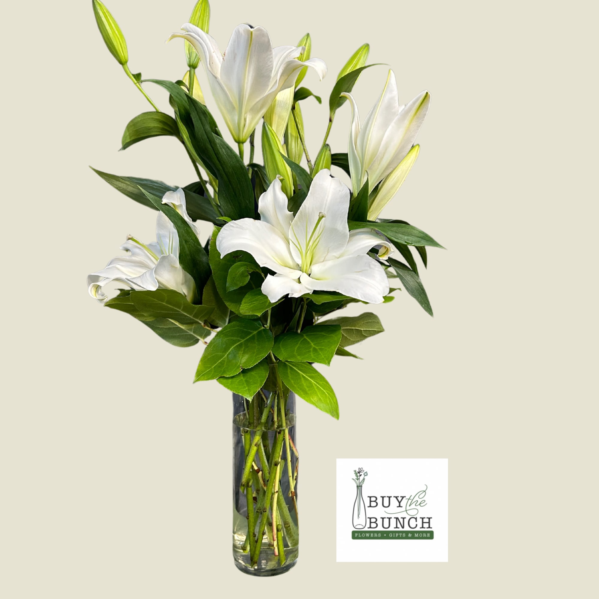 White Oriential Lilies designed in a cylinder vase with assisted greens. 