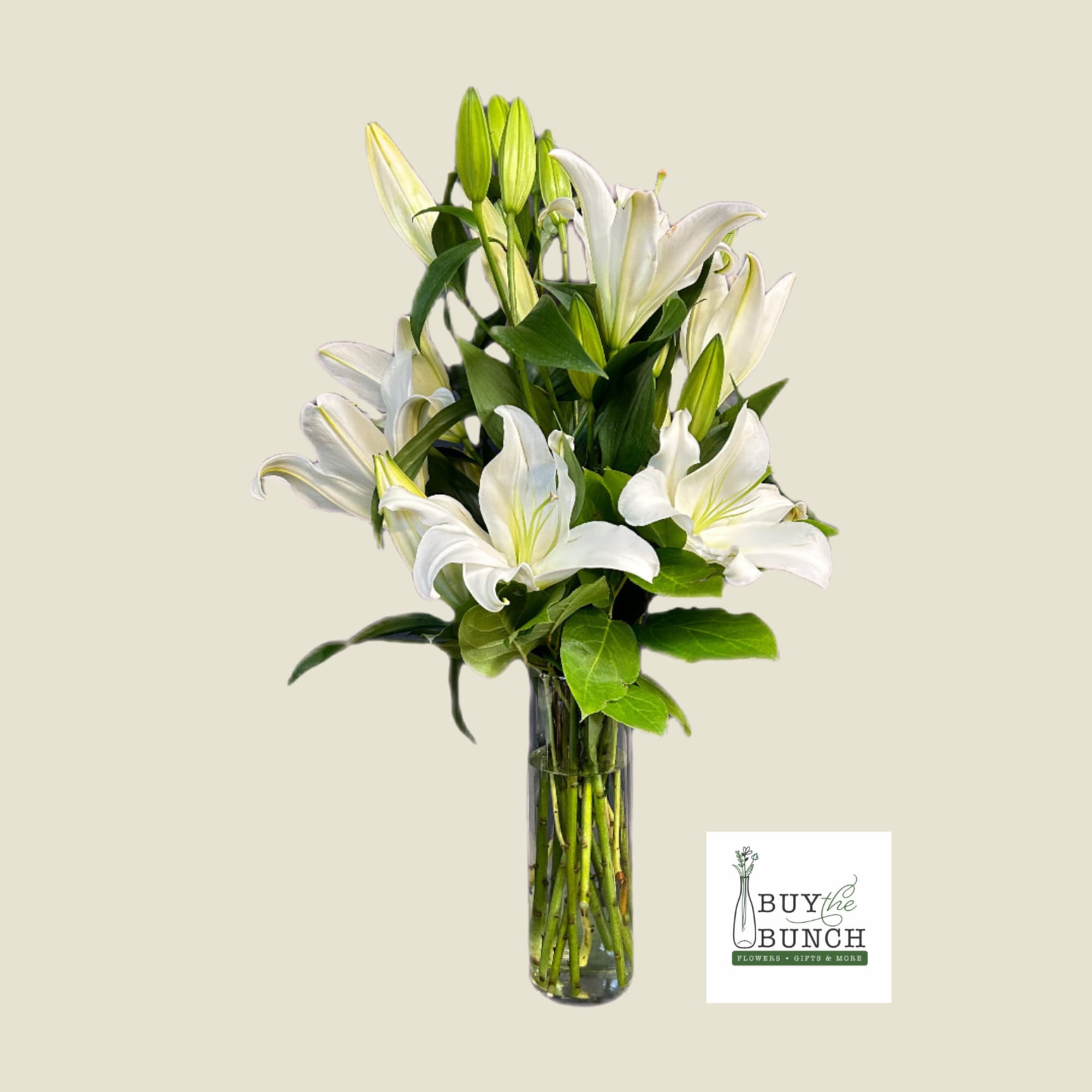 White Oriential Lilies designed in a cylinder vase with assisted greens. 
