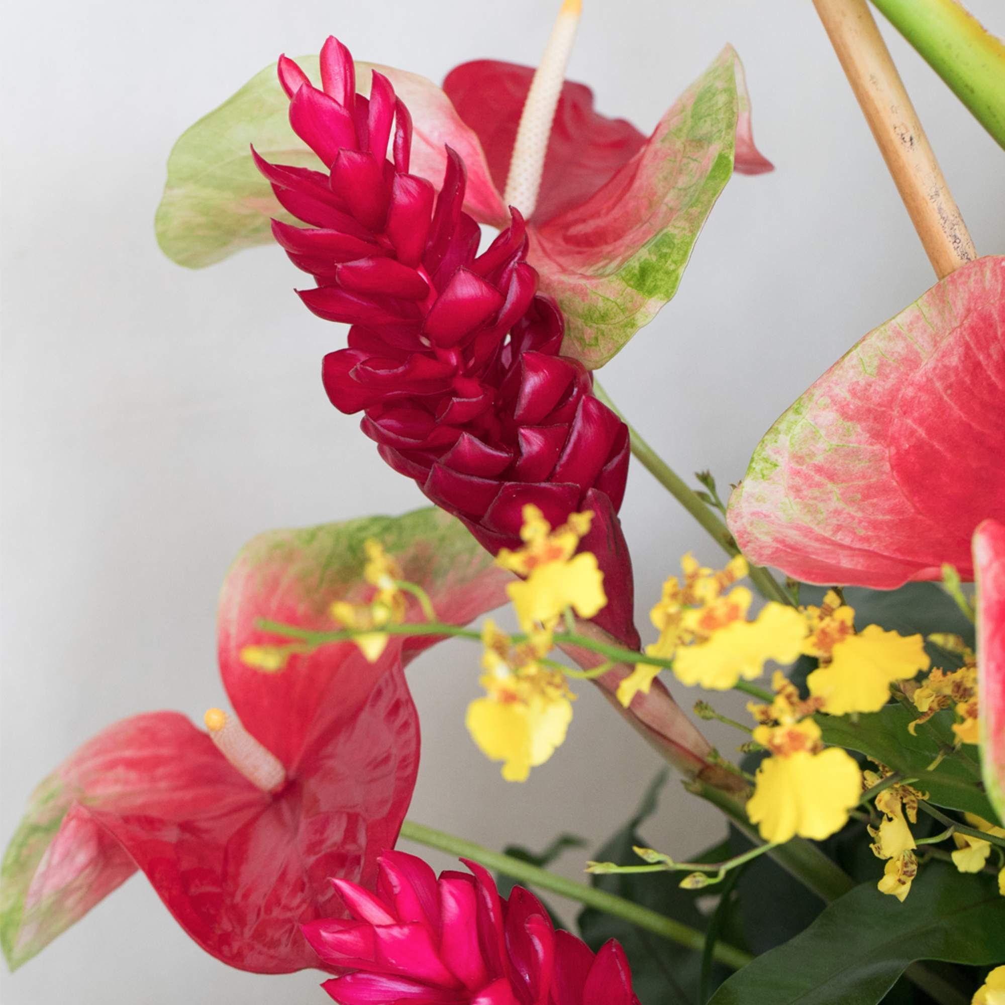 Ideal for a Grand Opening or to impress a new, important client