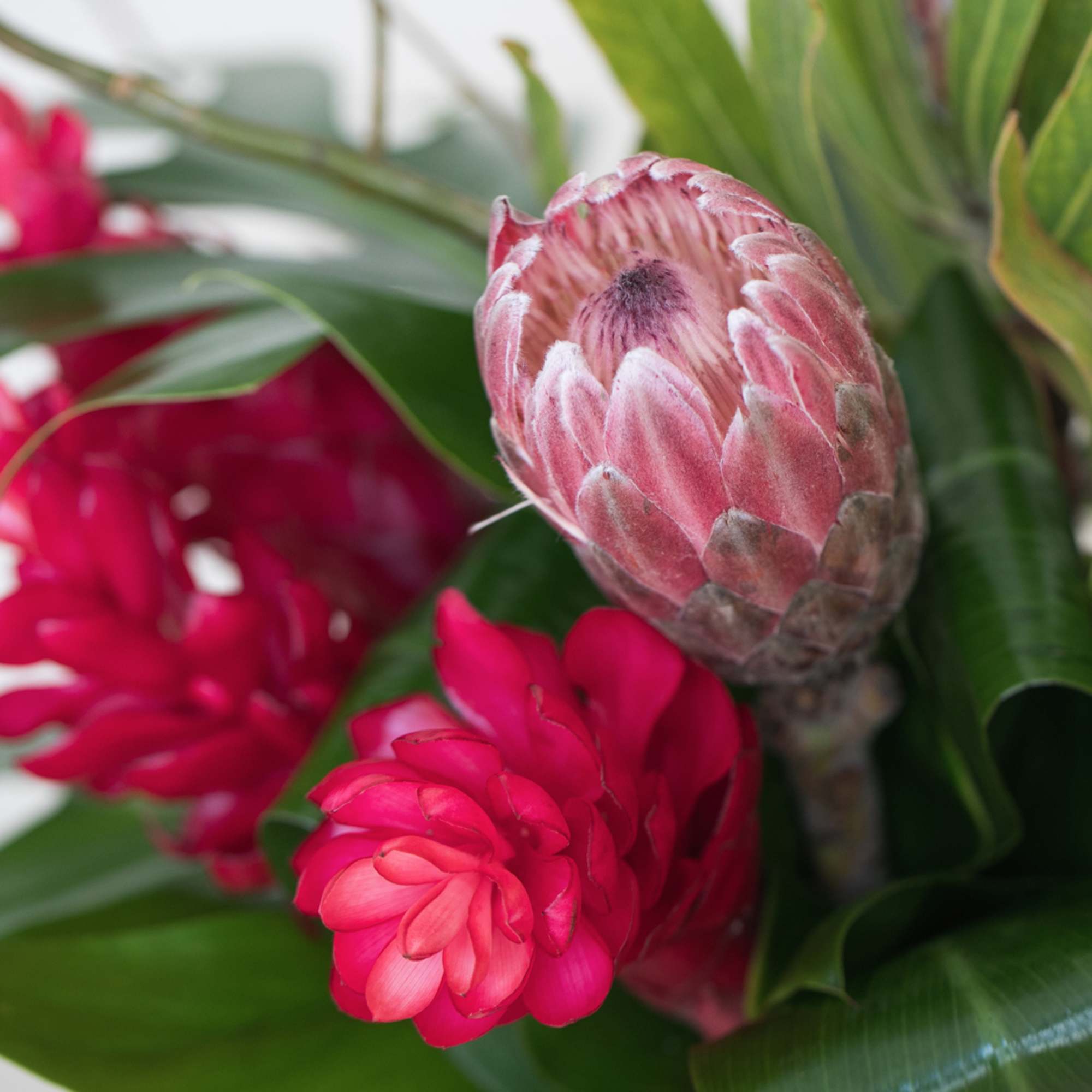 Enhance your office lobby or reception area with our stylish and contemporary