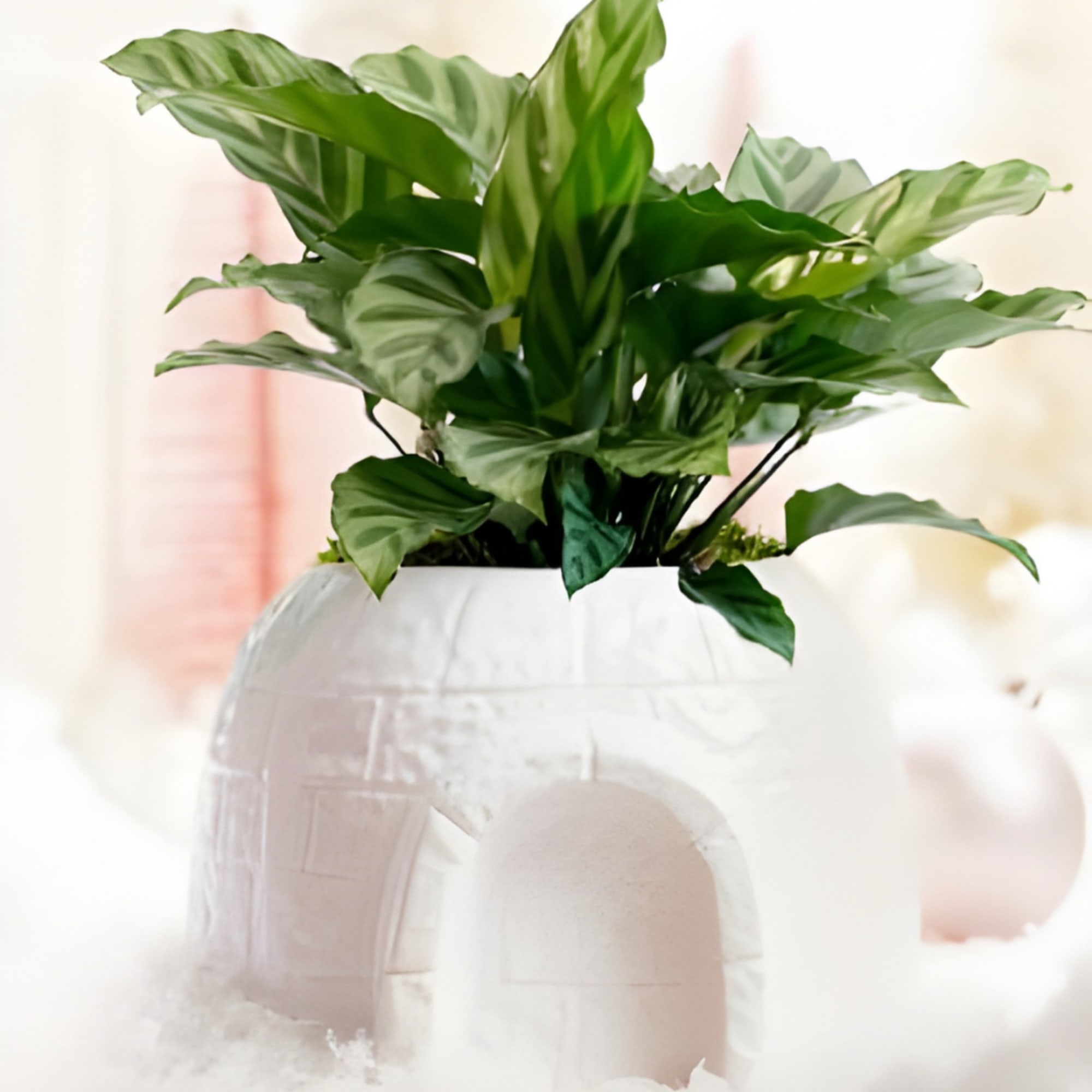 Transform your space into a winter wonderland with this enchanting Ice Castle