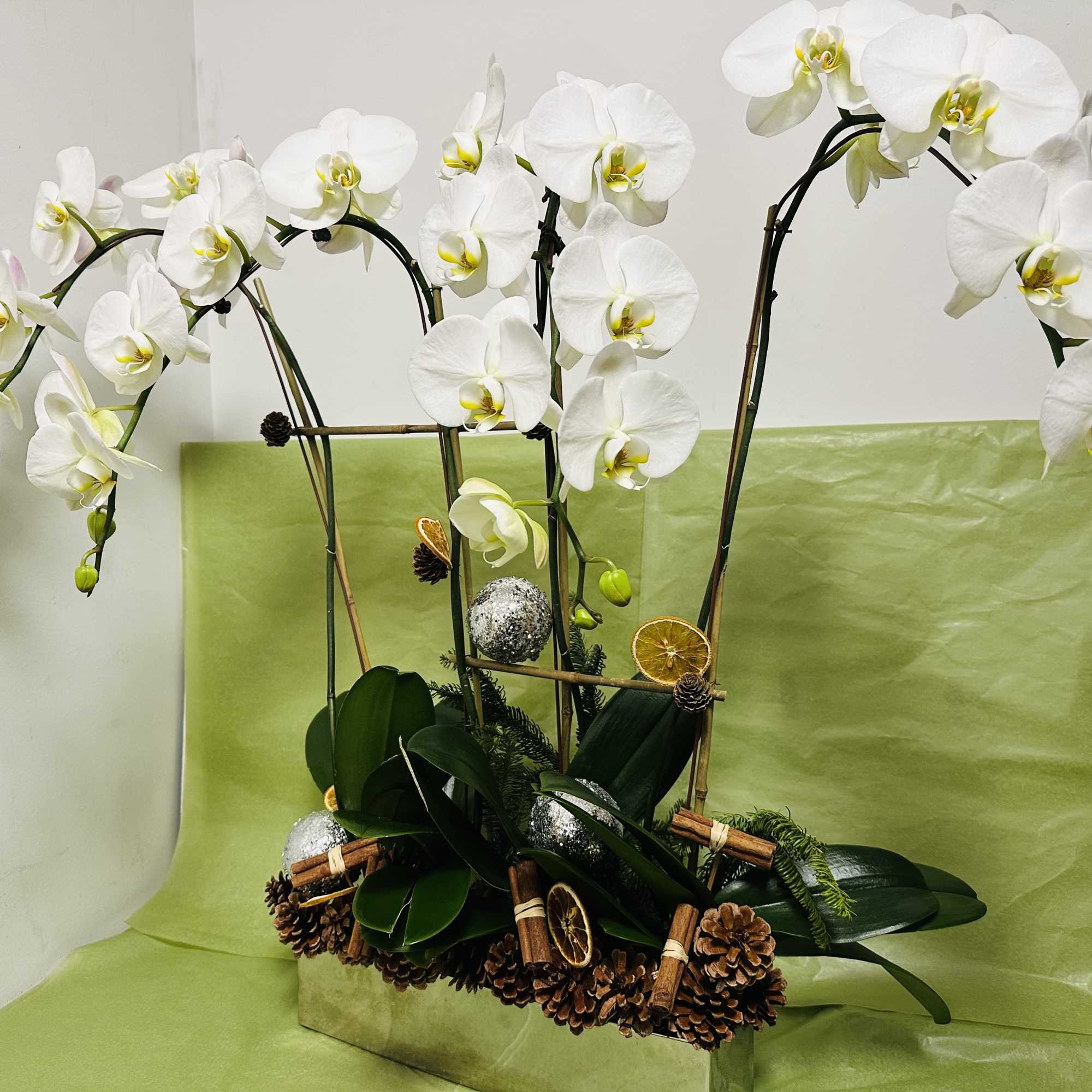 4 orchid whites in silver long vase 
beautiful Christmas gift 
