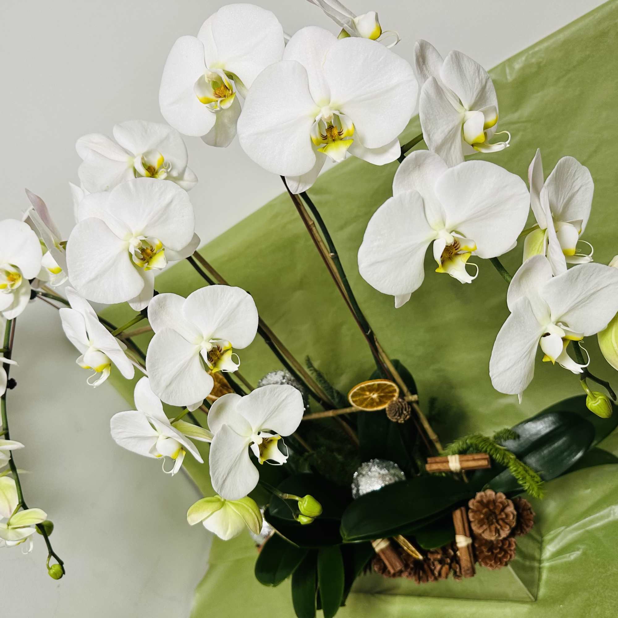 4 orchid whites in silver long vase 
beautiful Christmas gift 