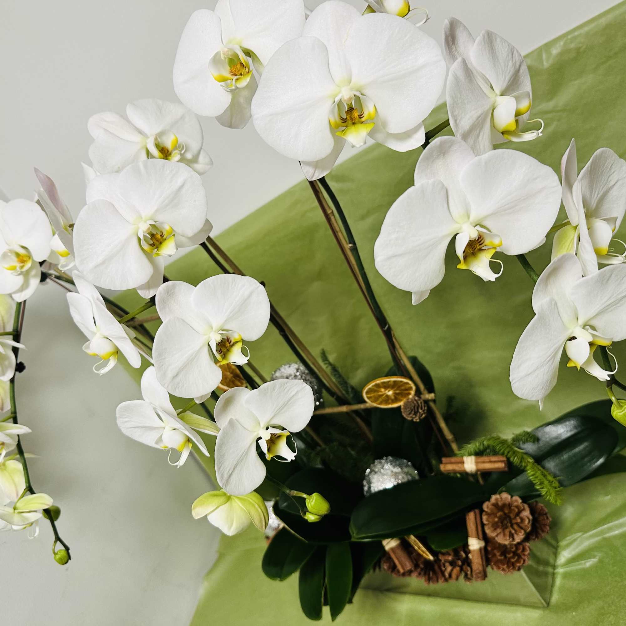 4 orchid whites in silver long vase 
beautiful Christmas gift 