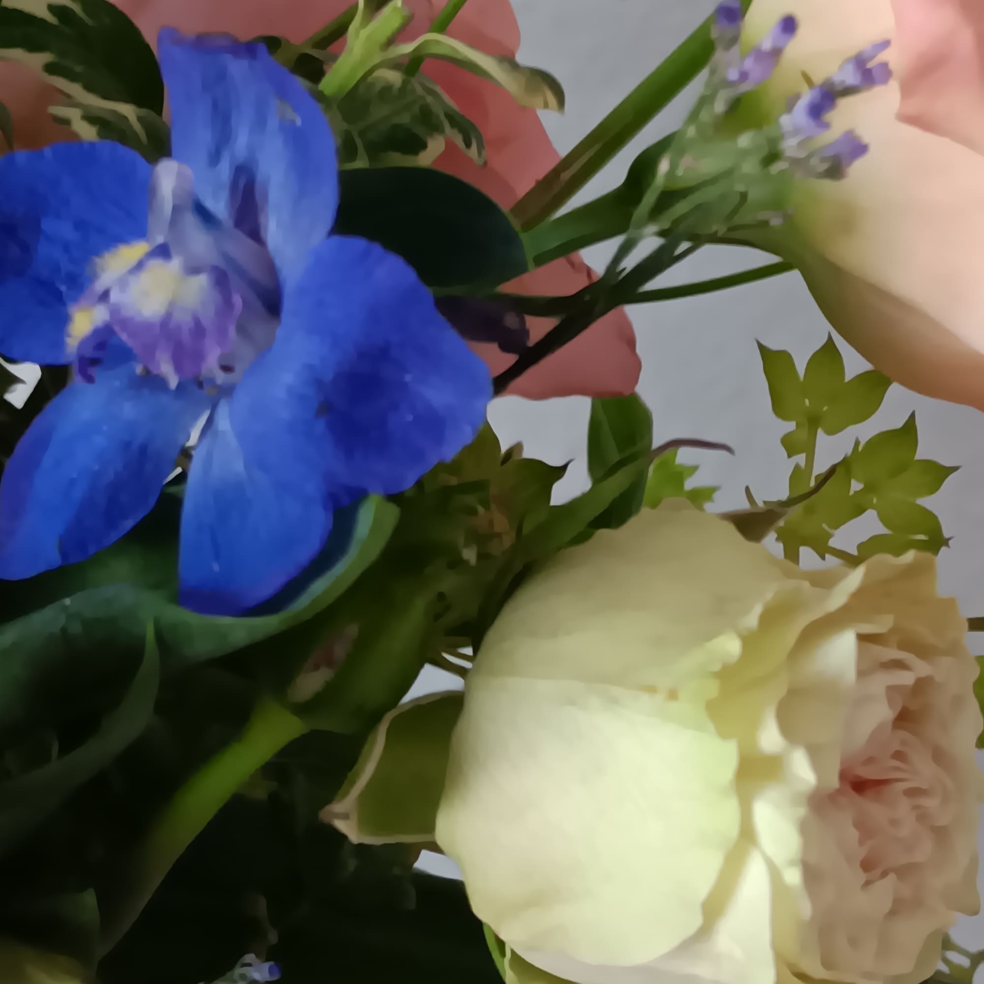 Express your love with the eloquence of Shakespeare - without saying a