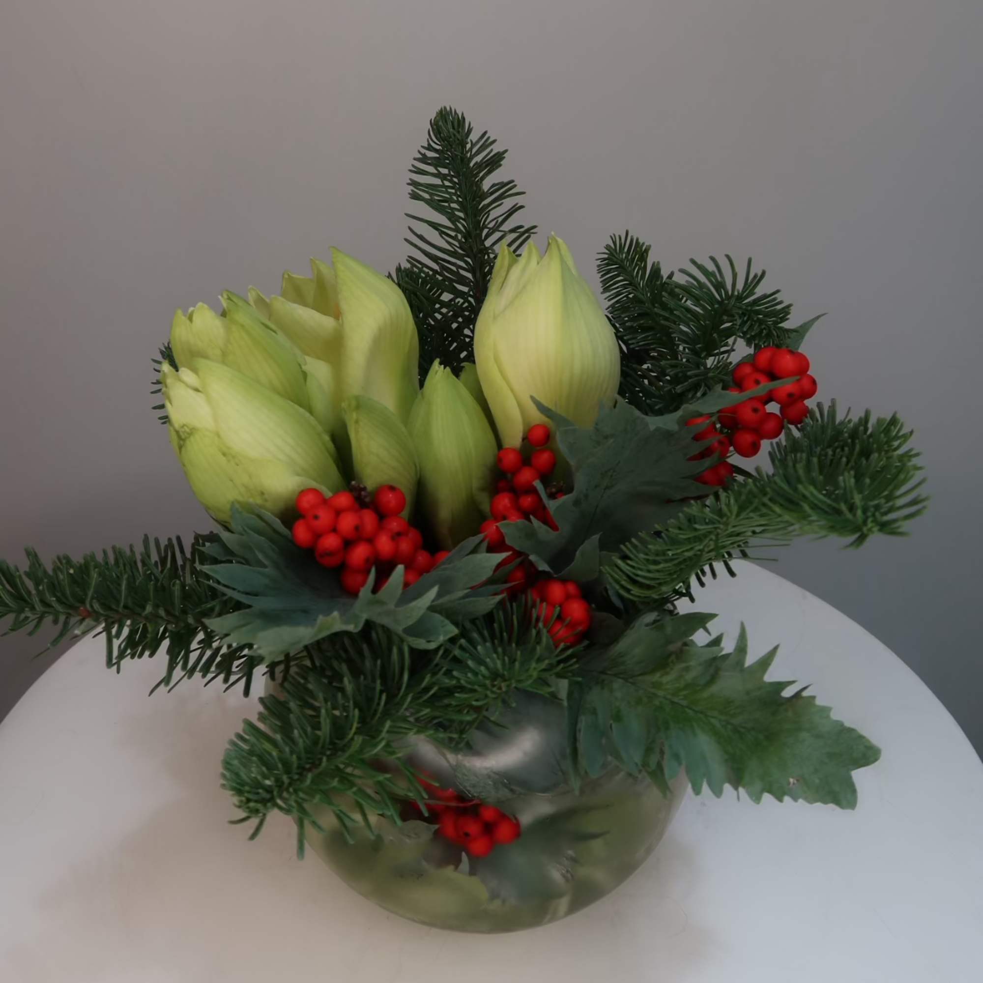 A festive winter arrangement featuring fresh green amaryllis buds, fragrant evergreen branches