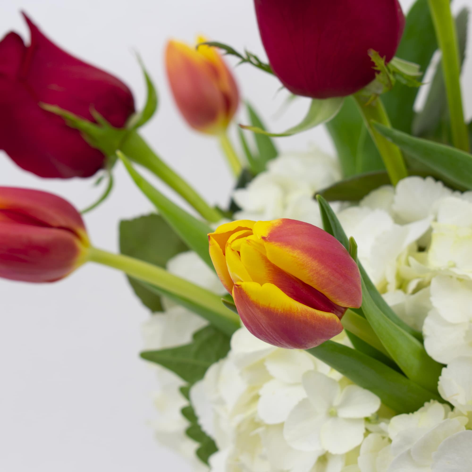 RED ROSES, TULIPS, AND WHITE HYDRANGEA IN A VASE

Fresh and romantic. This