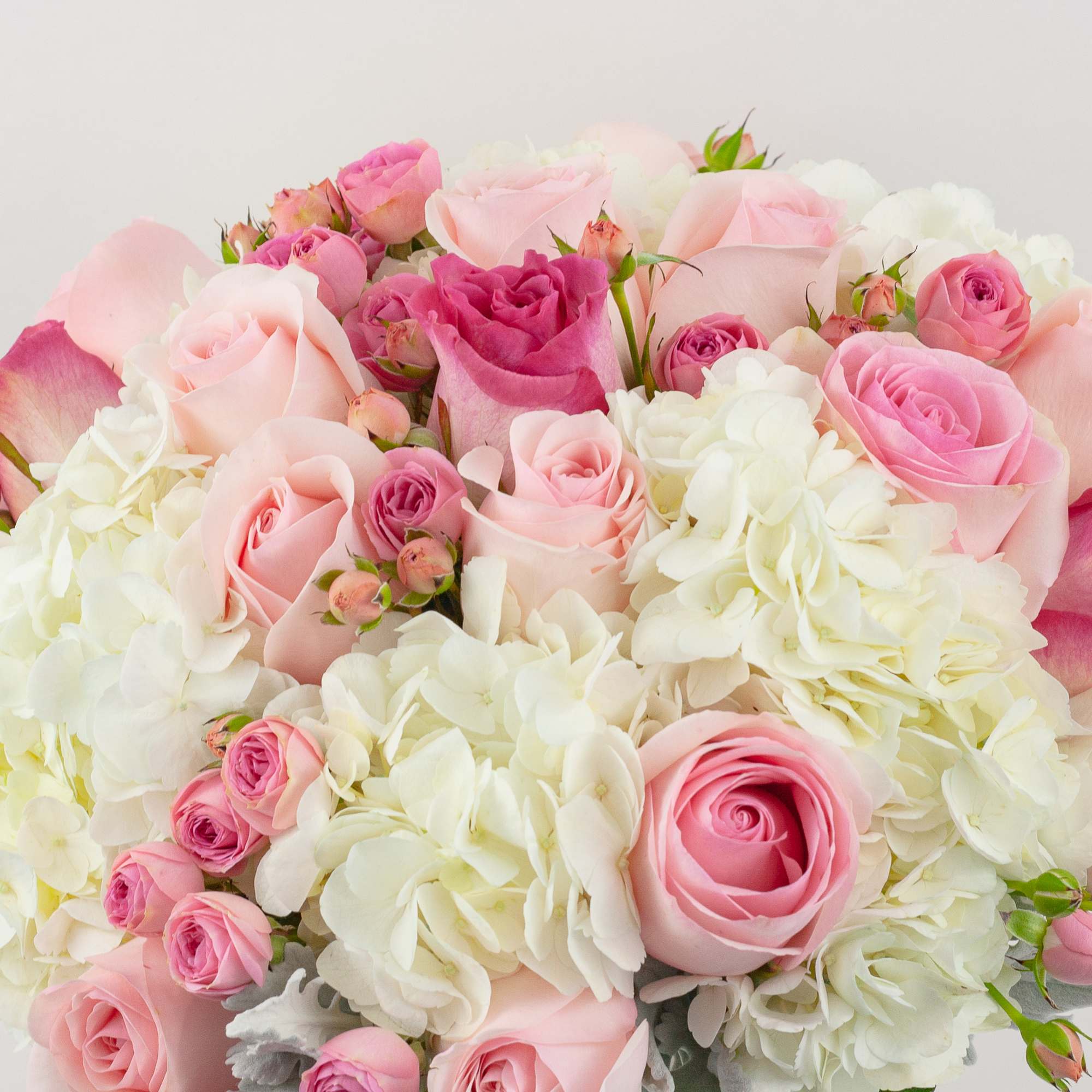 PASTEL PINK AND WHITE FLOWERS IN LOGO BOX

Pretty and feminine. A sublime