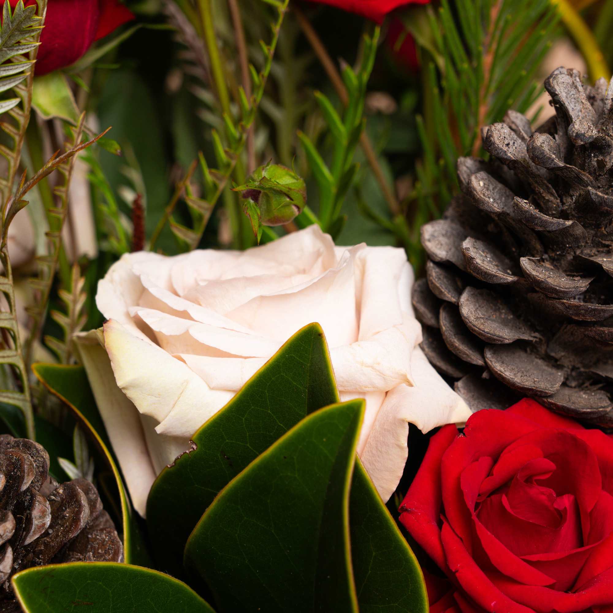 A modern take on seasonal beauty. SCARLET &amp; PINE blends blush and