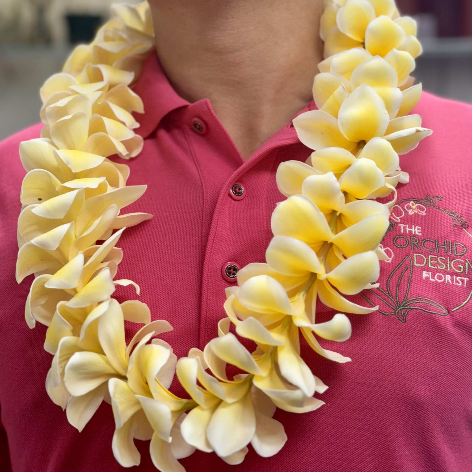 Plumeria Leiby The Orchid Design Florist LLC