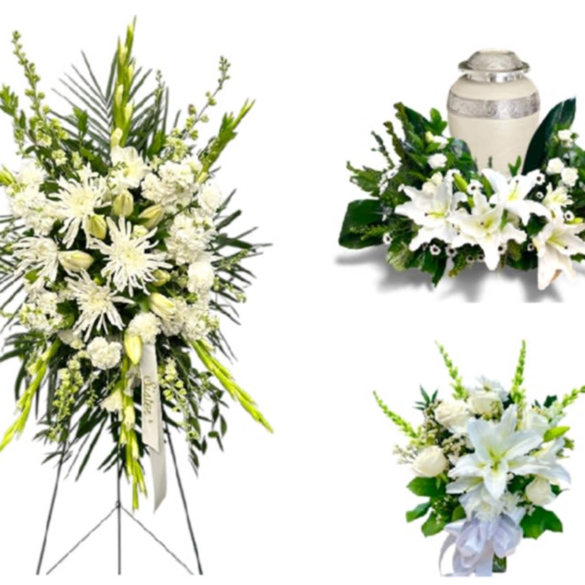 Eternal Memories Collection
