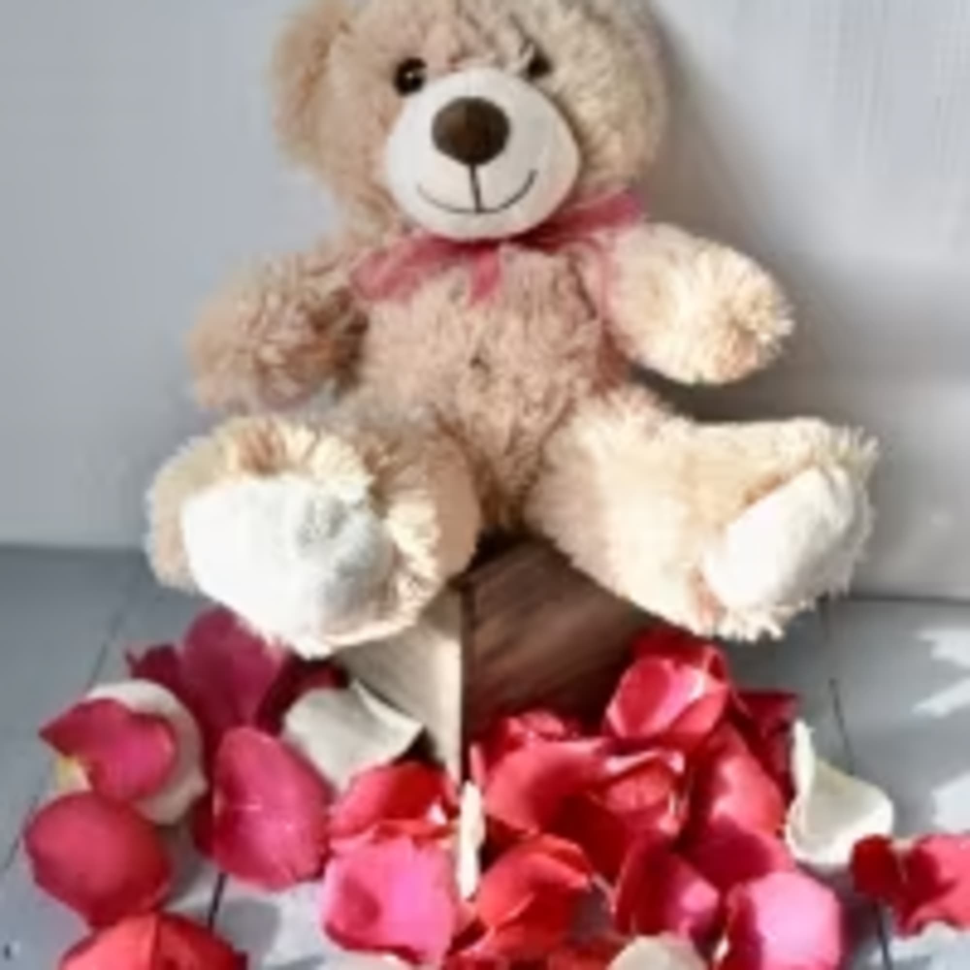 A soft, cuddly Teddy Bear.
-perfect to show your compassion to a significant