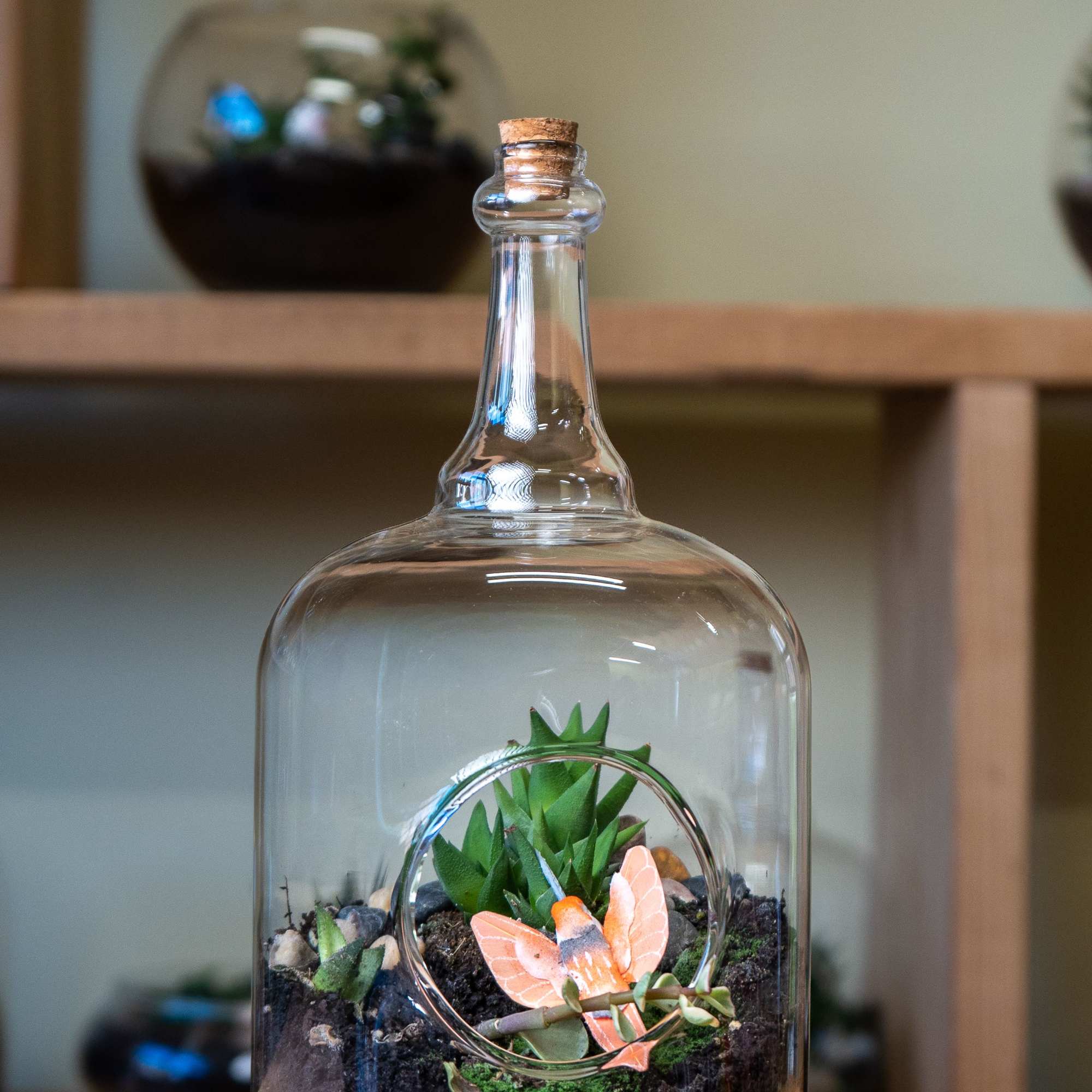 A bottle terrarium is a self-contained, miniature ecosystem inside a clear glass