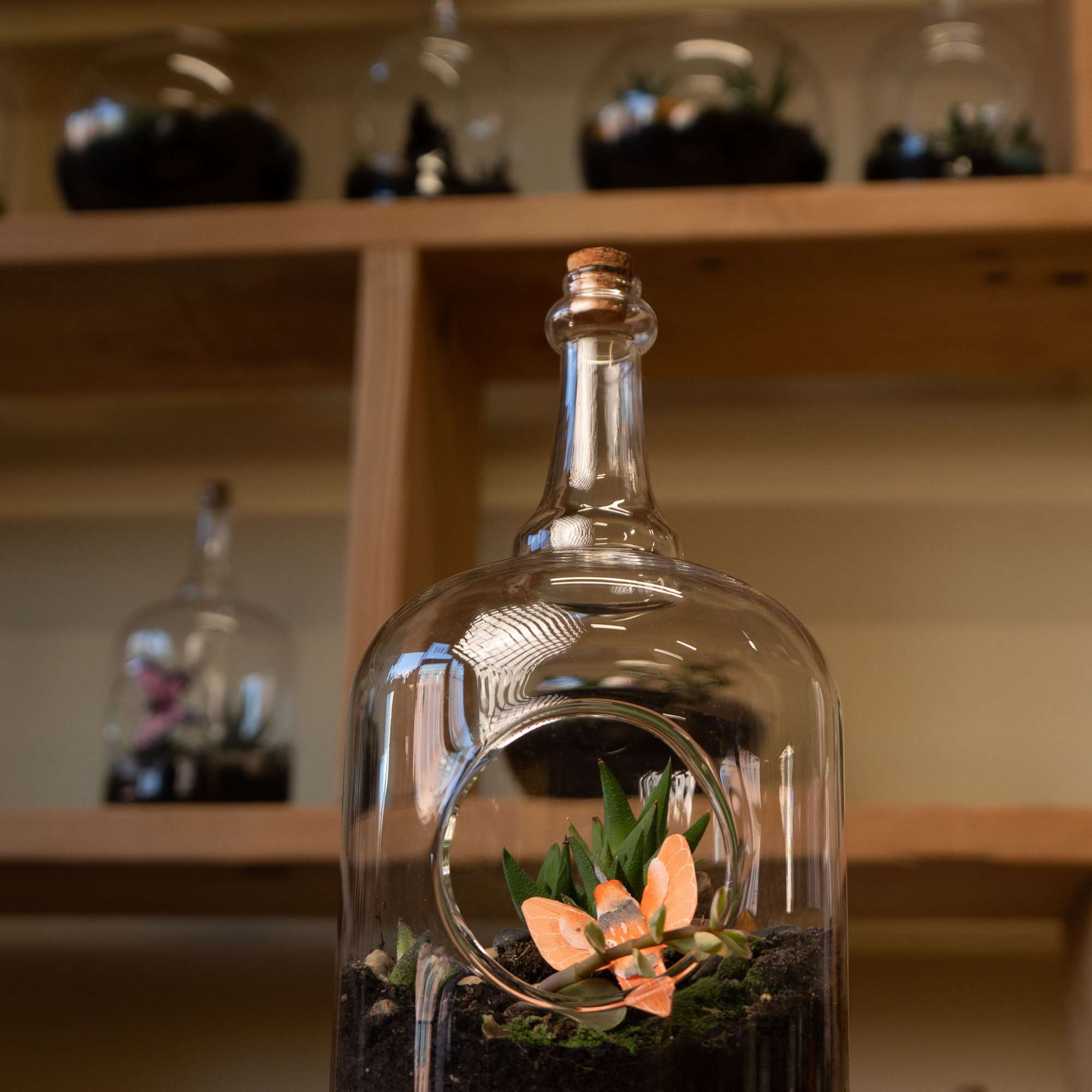 A bottle terrarium is a self-contained, miniature ecosystem inside a clear glass