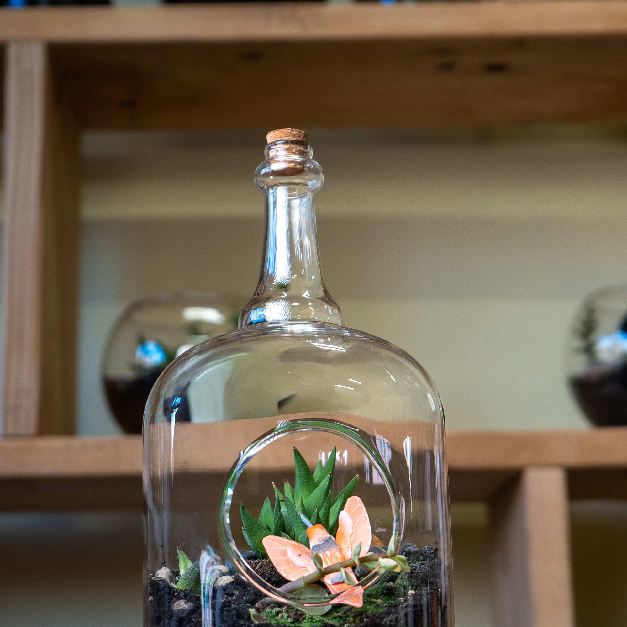 A bottle terrarium is a self-contained, miniature ecosystem inside a clear glass