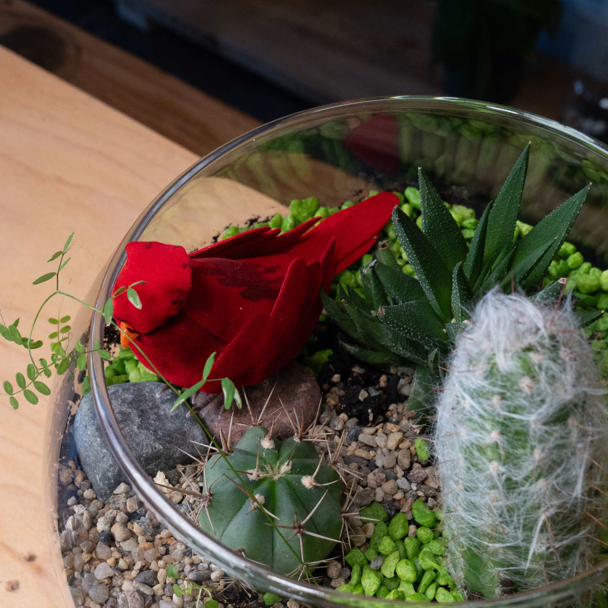 A Bowl  terrarium is a self-contained, miniature ecosystem inside a clear