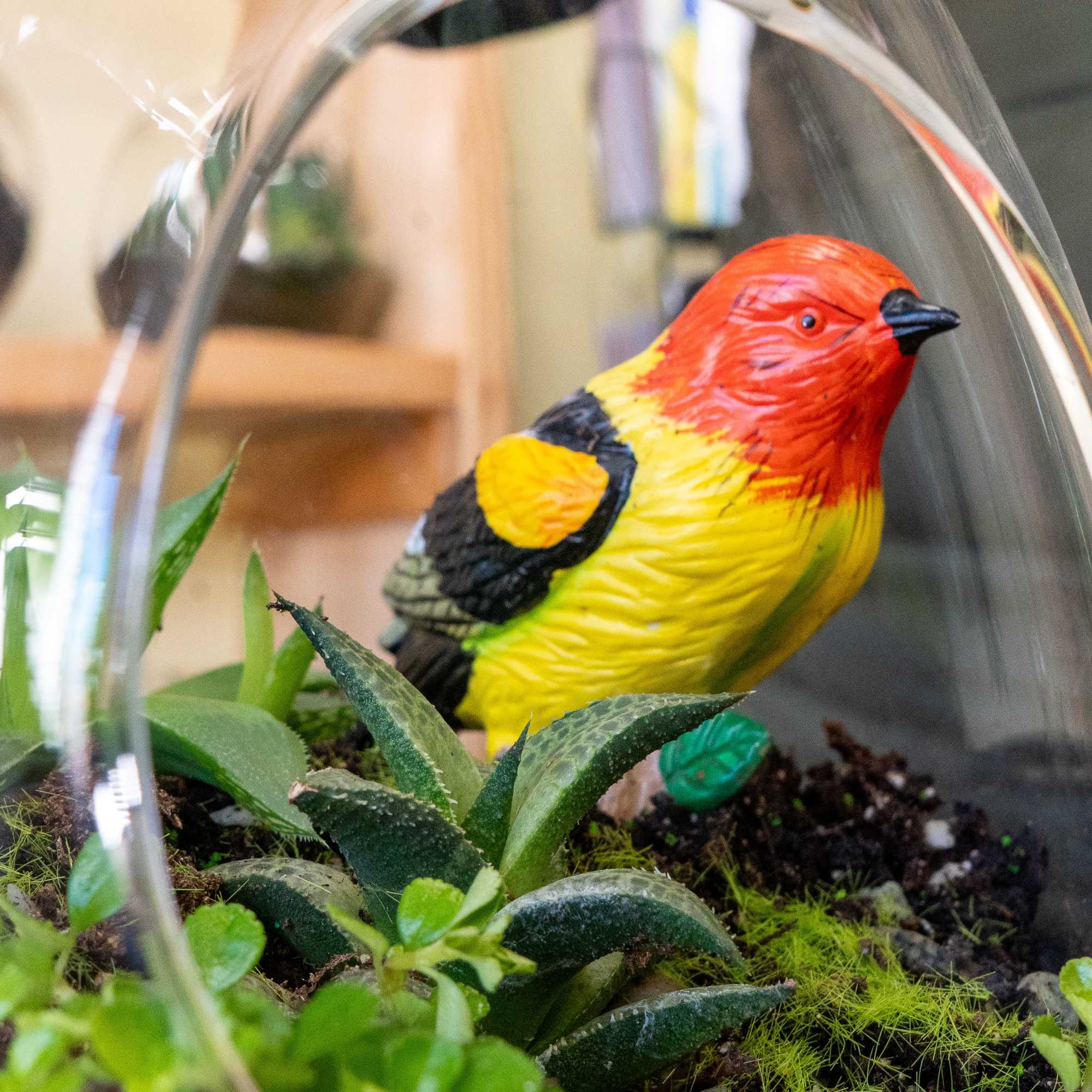 Self-contained, miniature ecosystem inside a clear glass container, often with a narrow