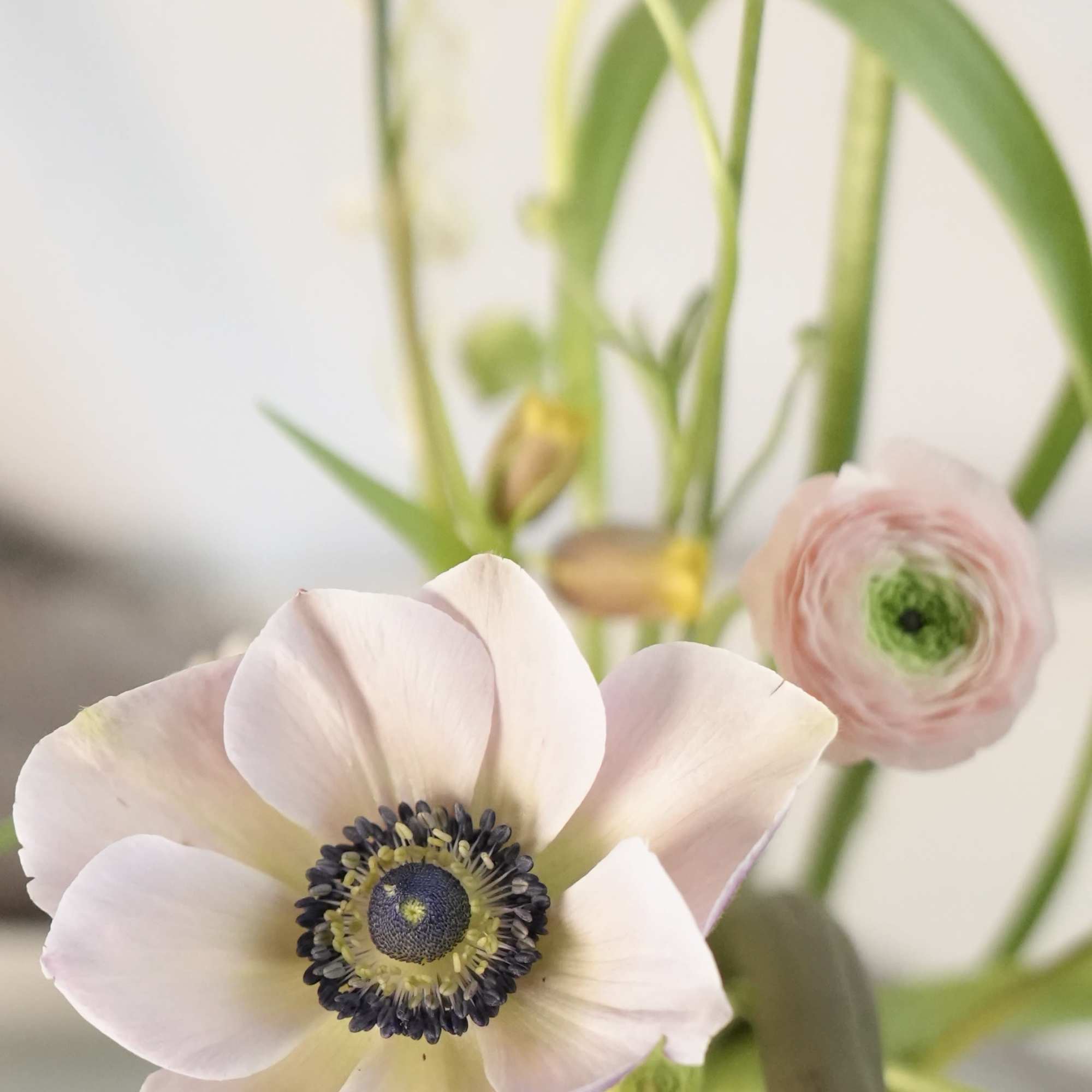 An ikebana inspired by the feeling of spring, designed to be enjoyed