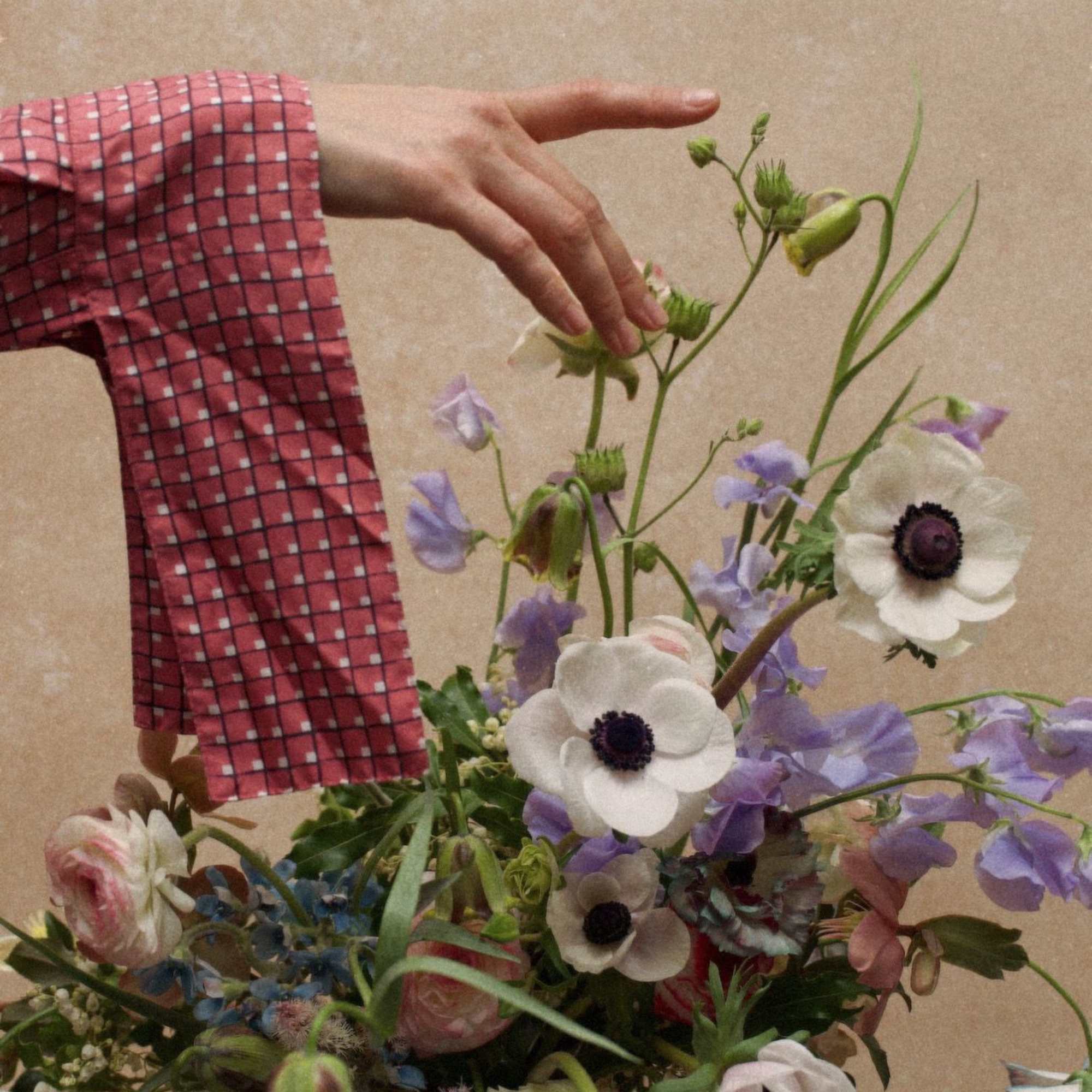 A glowing, earthy arrangement in rich purple, blue and green tones, with