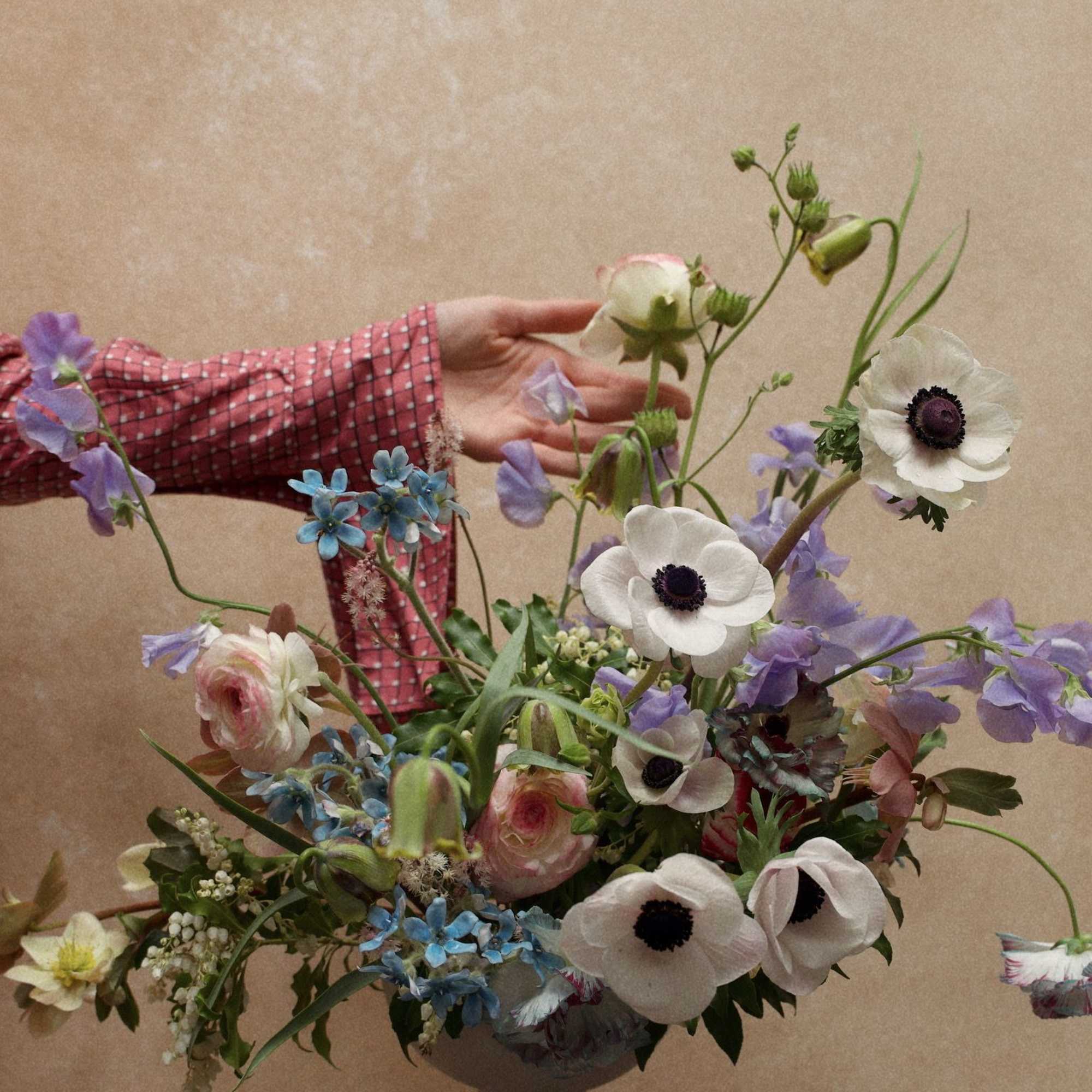 A glowing, earthy arrangement in rich purple, blue and green tones, with