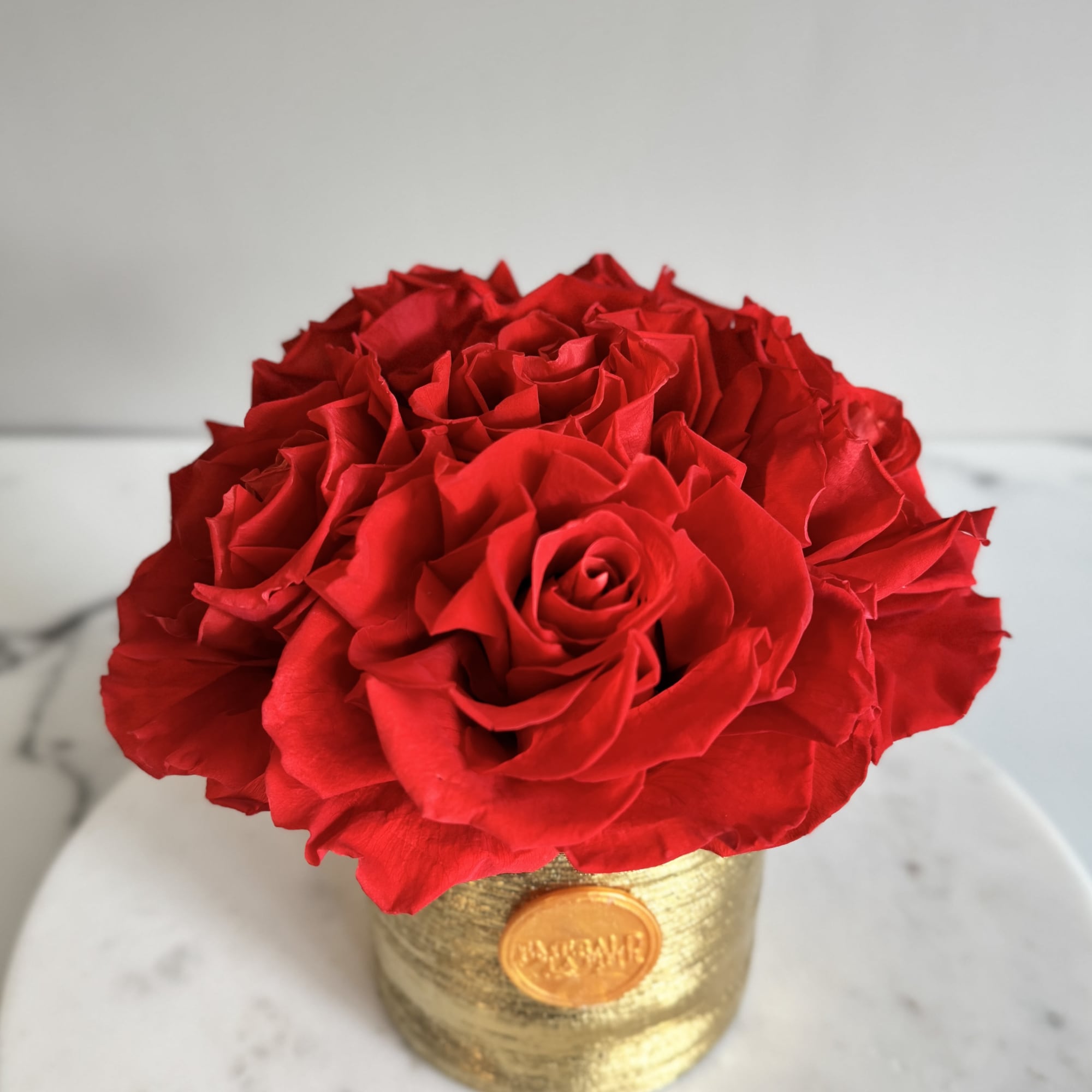 Six vibrant preserved red roses, thoughtfully arranged in a luminous gold vessel.