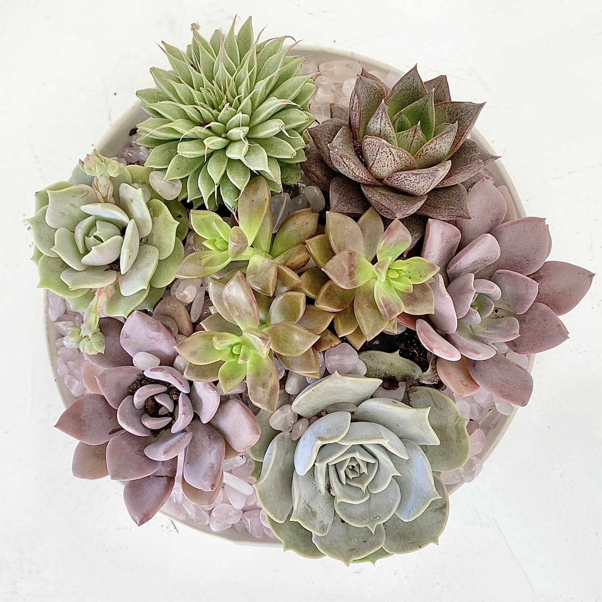 Some folks love gifts that continue to grow, like their love for