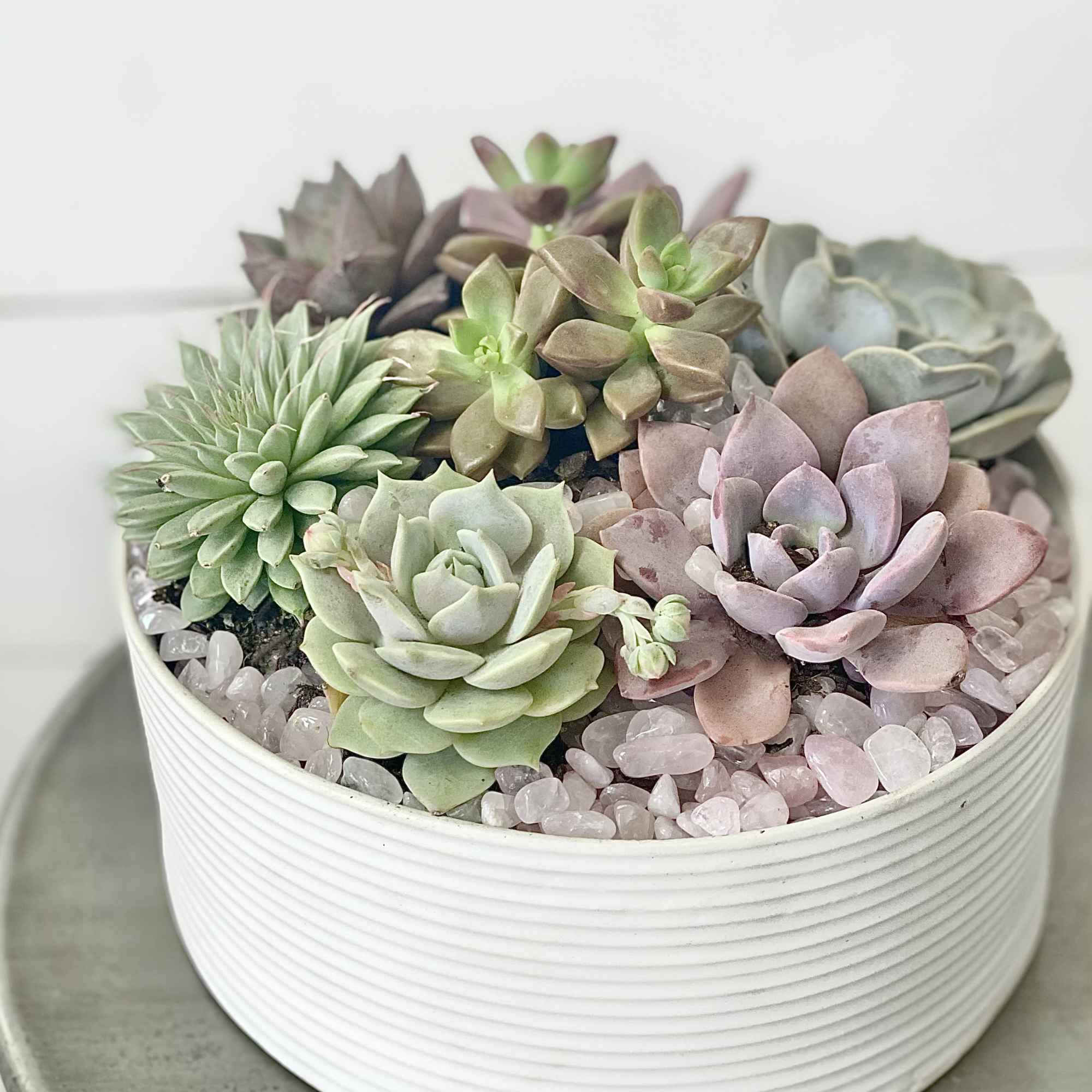 Some folks love gifts that continue to grow, like their love for