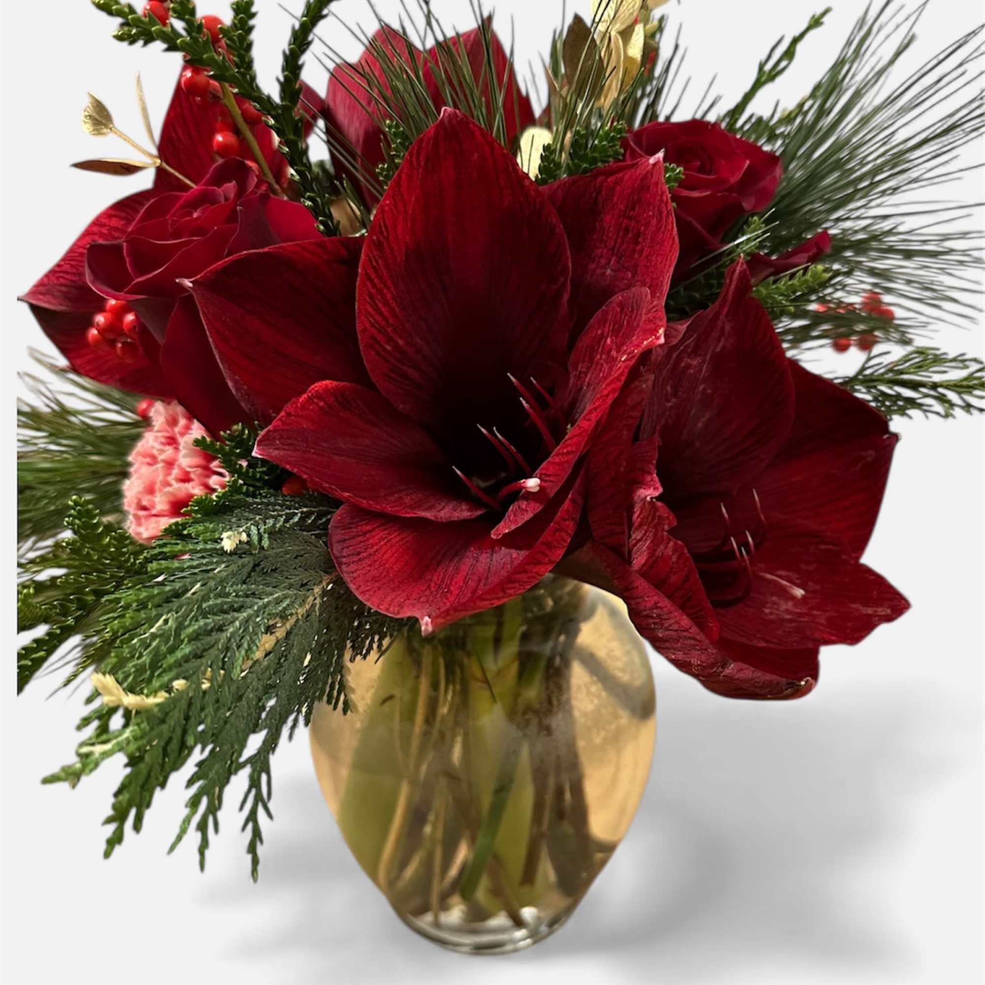 Burgundy Amaryllis WITH A TOUCH OF RED ROSES AND A PERFECT TOUCH
