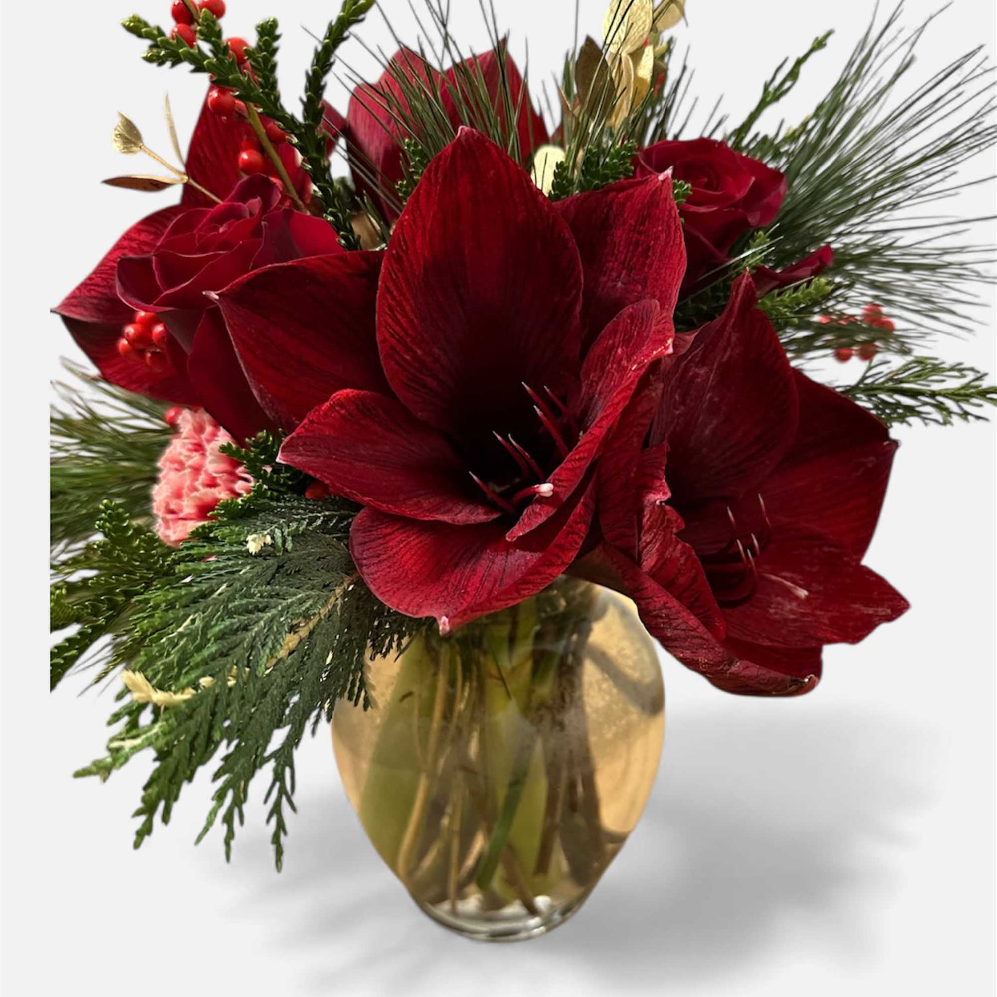 Burgundy Amaryllis WITH A TOUCH OF RED ROSES AND A PERFECT TOUCH