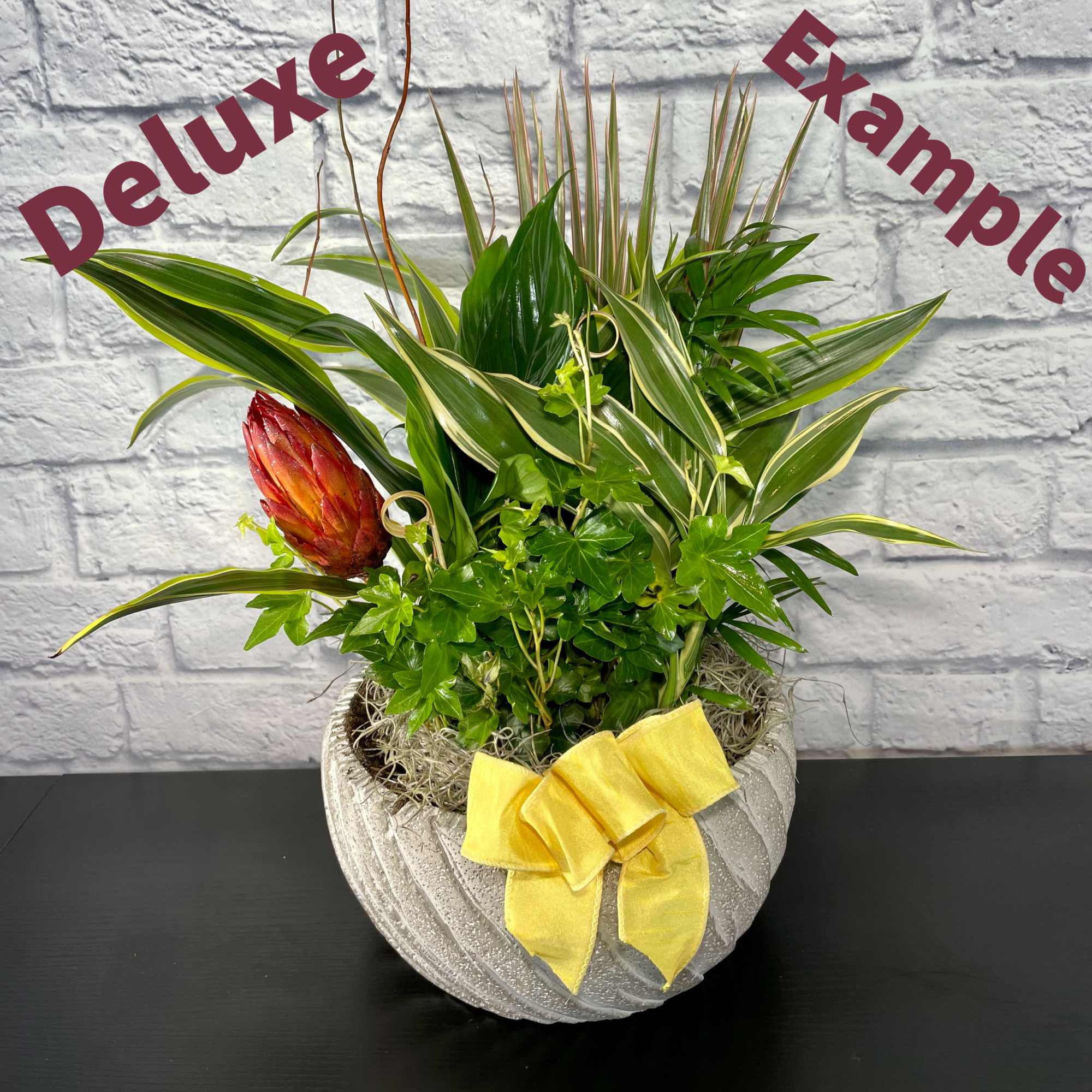 For STANDARD price, you can receive a 8 inch dish garden in