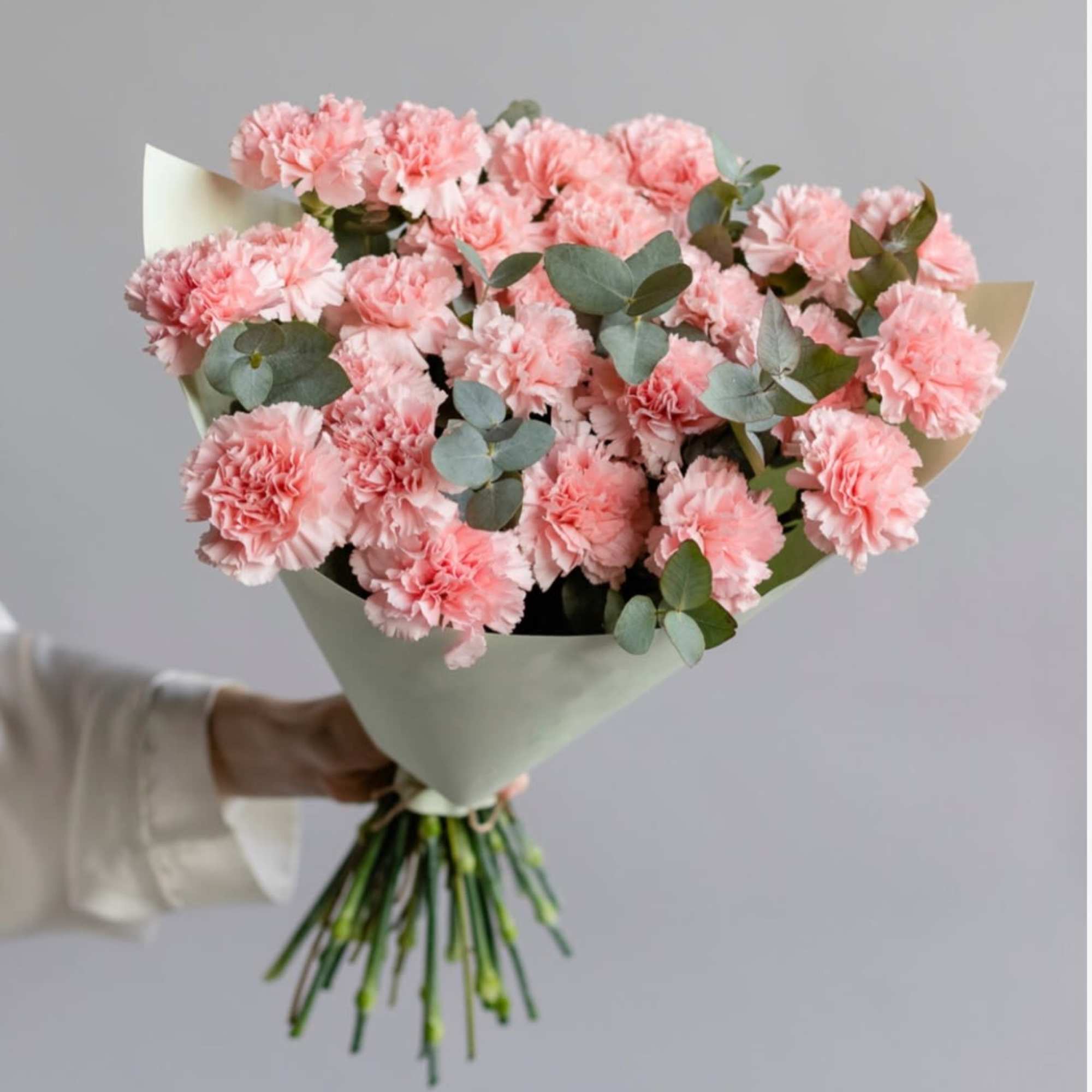 Bouquet of Pink Carnations with Eucalyptus.