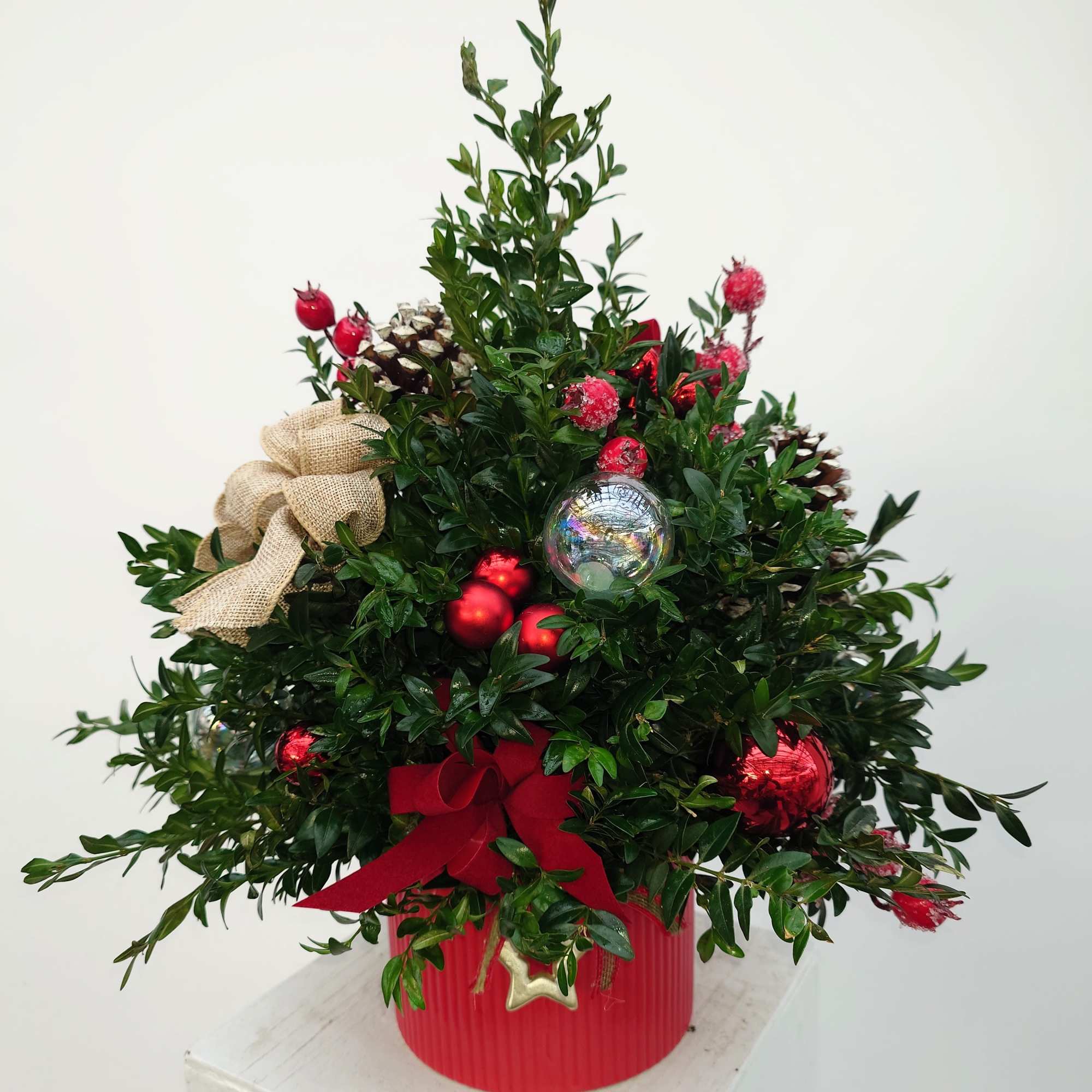 A charming tabletop boxwood tree handcrafted in our greenhouse using fresh boxwood