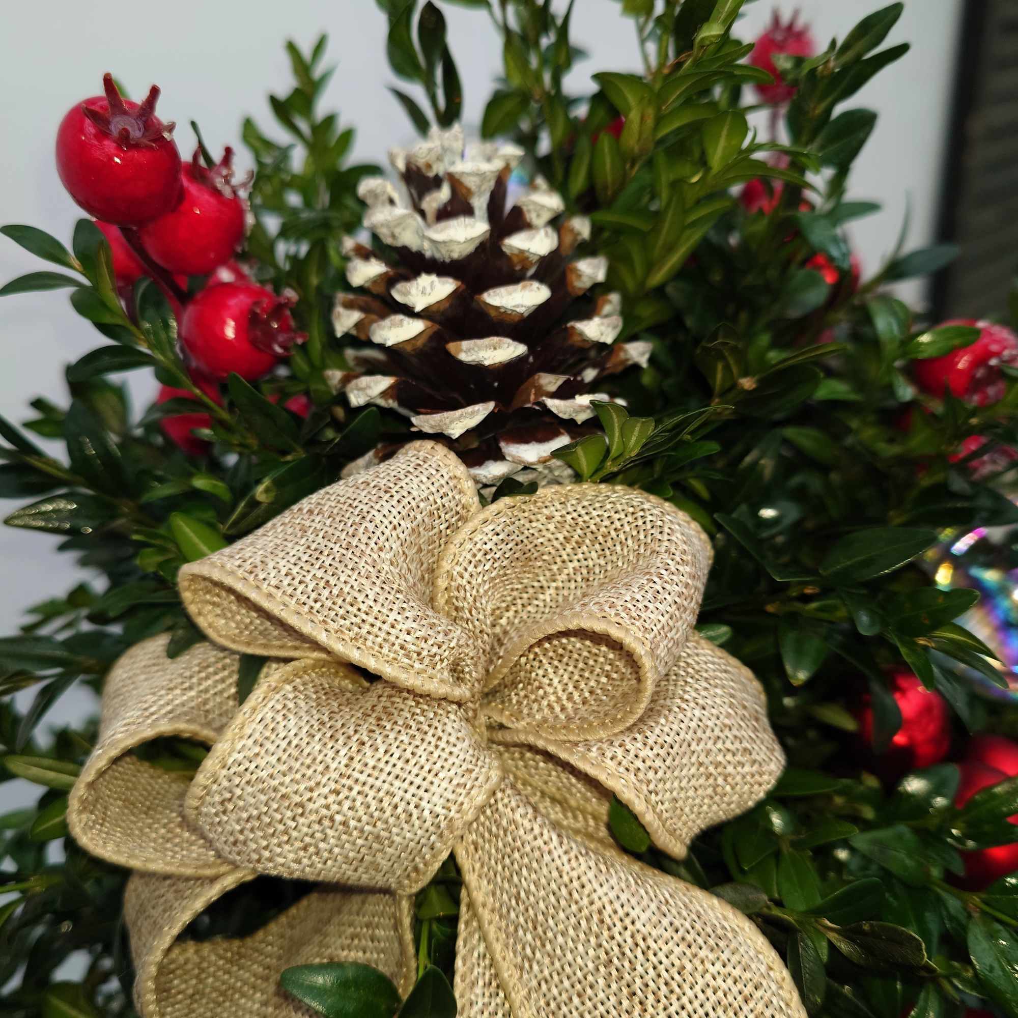 A charming tabletop boxwood tree handcrafted in our greenhouse using fresh boxwood