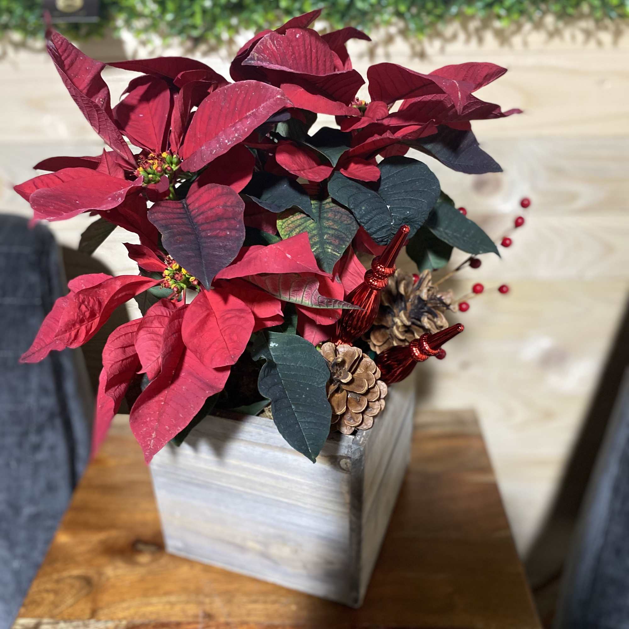 Designer's Choice - Season's Best