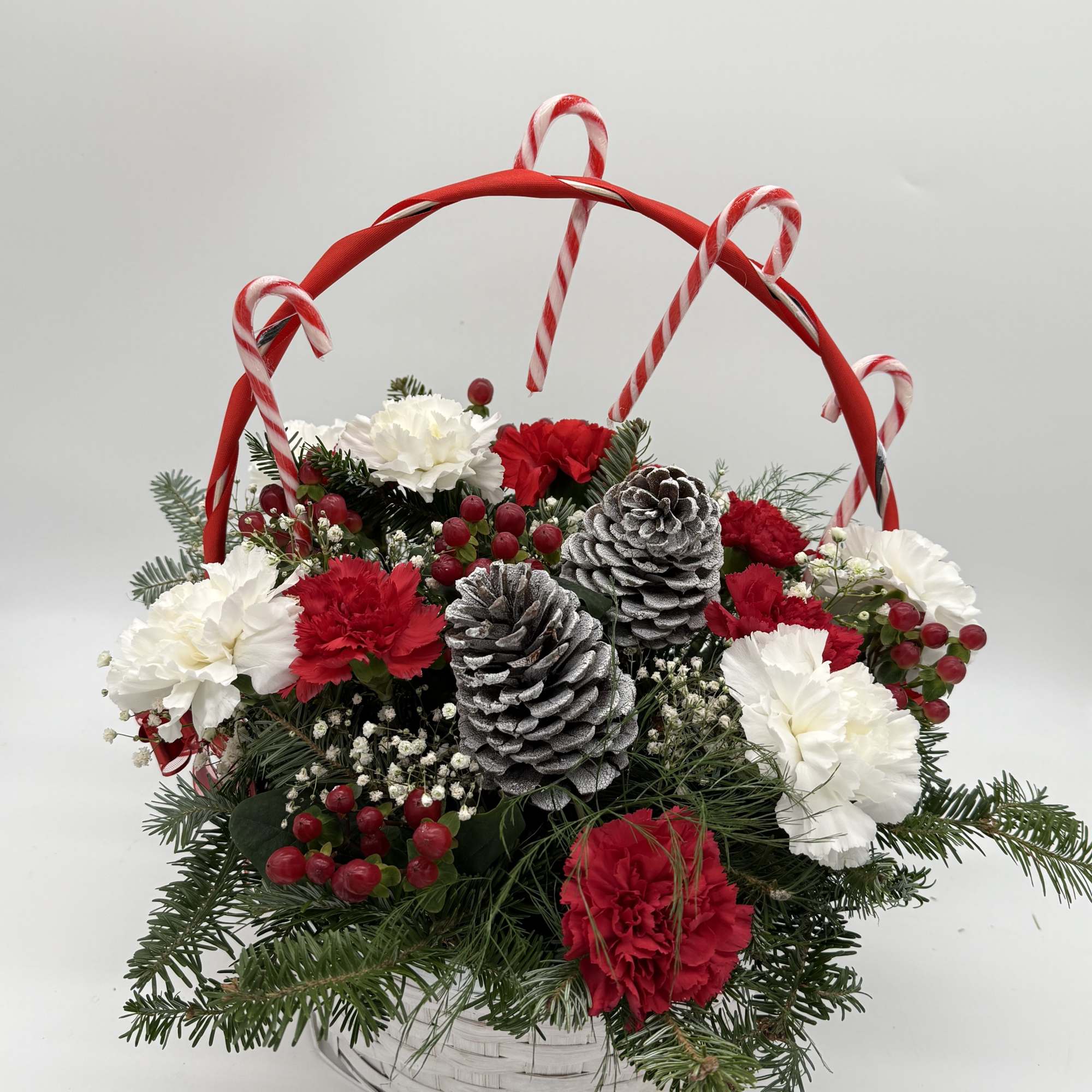 Take a walk through a candy cane forest with this fun, festive