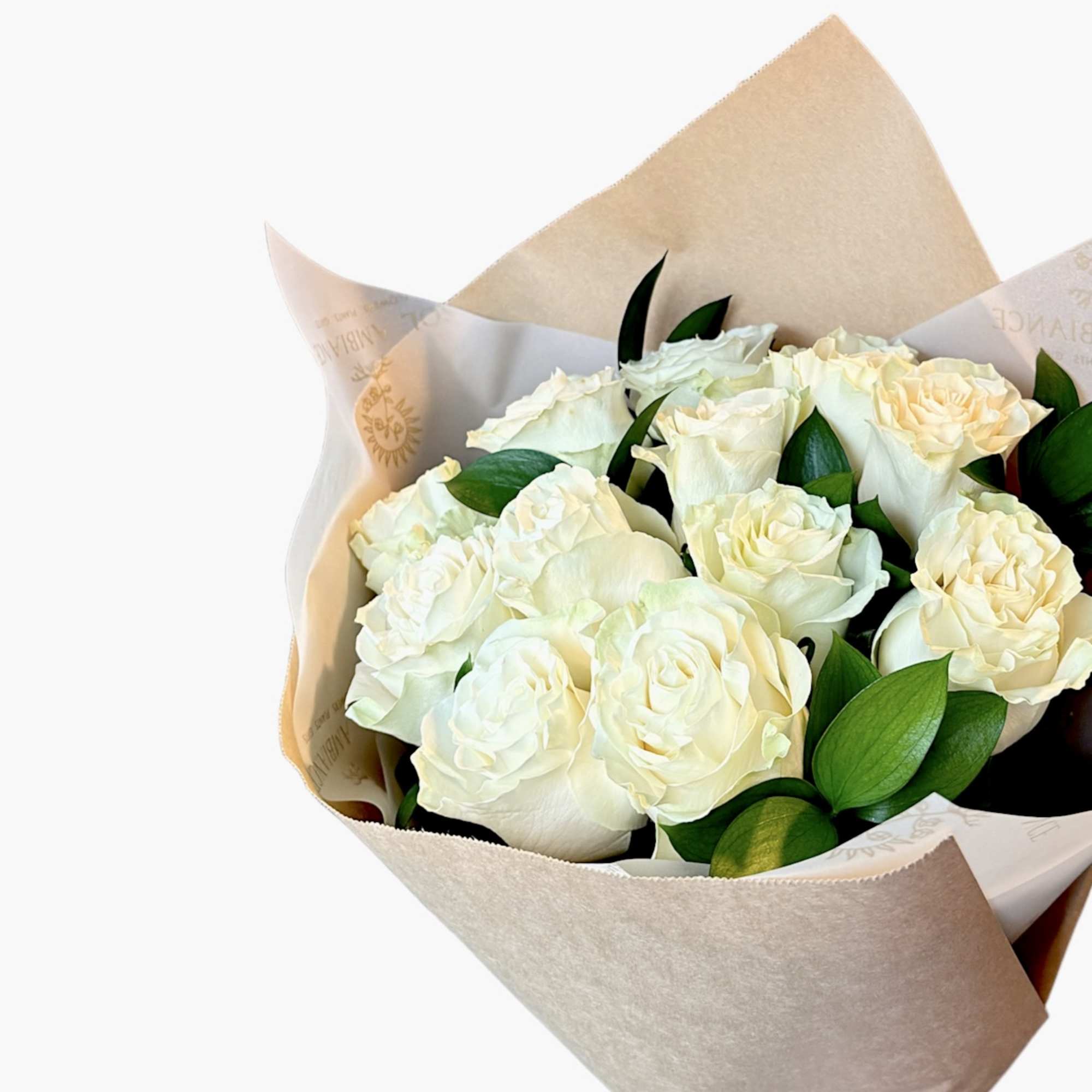 A dozen beautiful Ecuadorian long stem white roses delicately crafted with lush