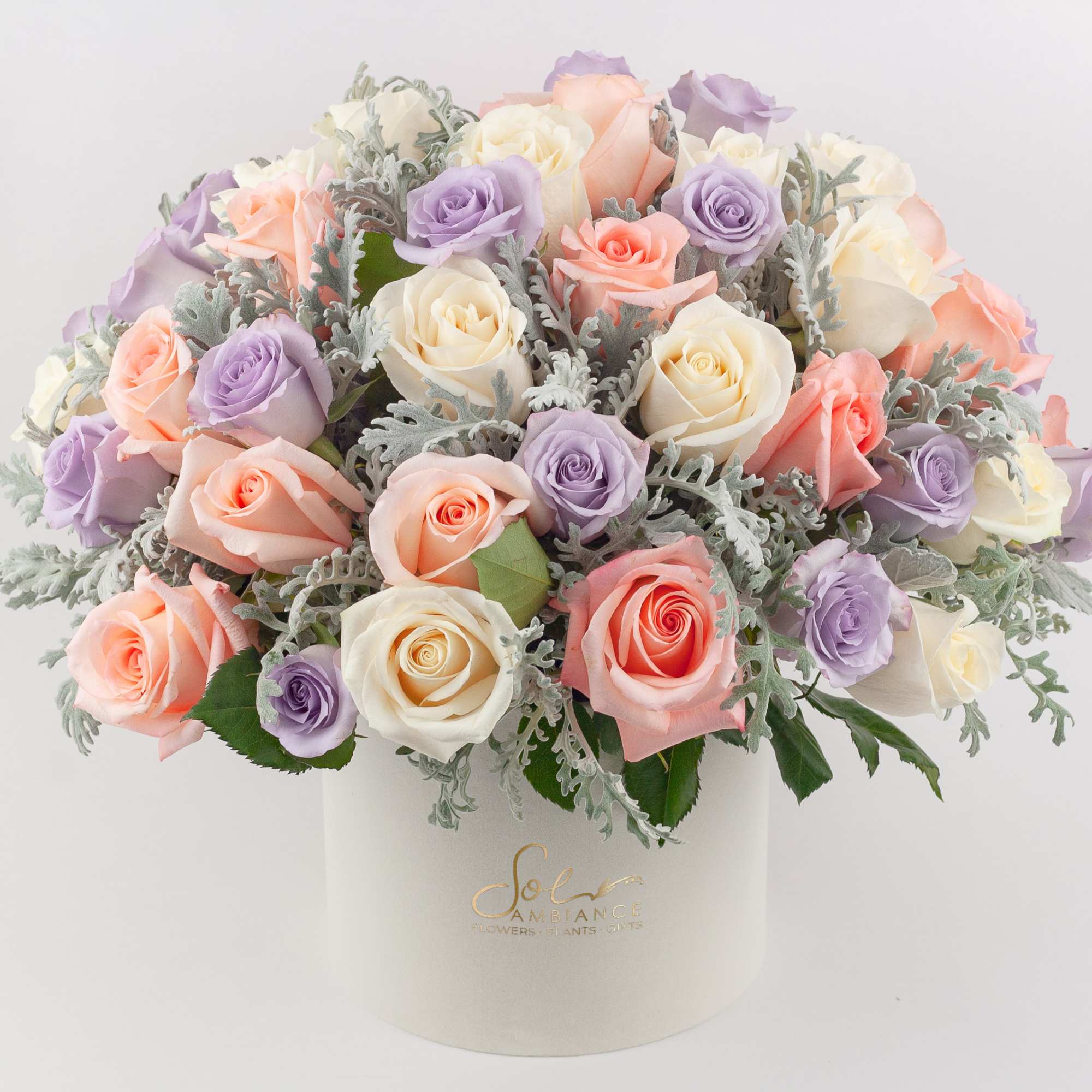  PASTEL ROSES IN LOGO BOX

Pretty and feminine. A sublime rose arrangement