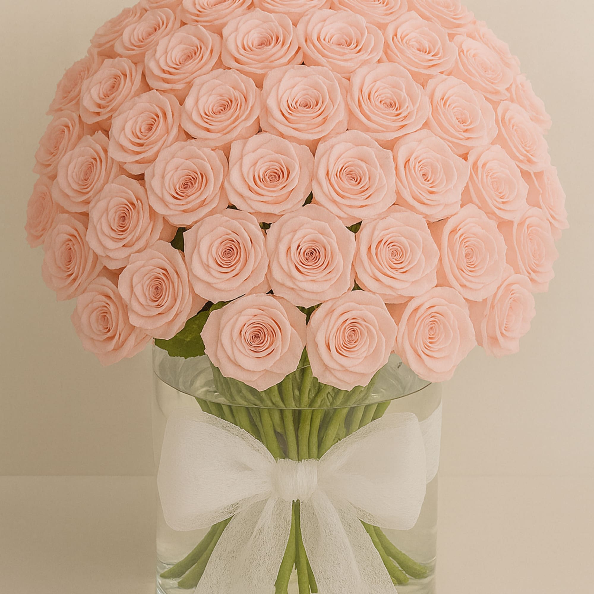 Premium light pink roses in a glass vase with a decorative ribbon.