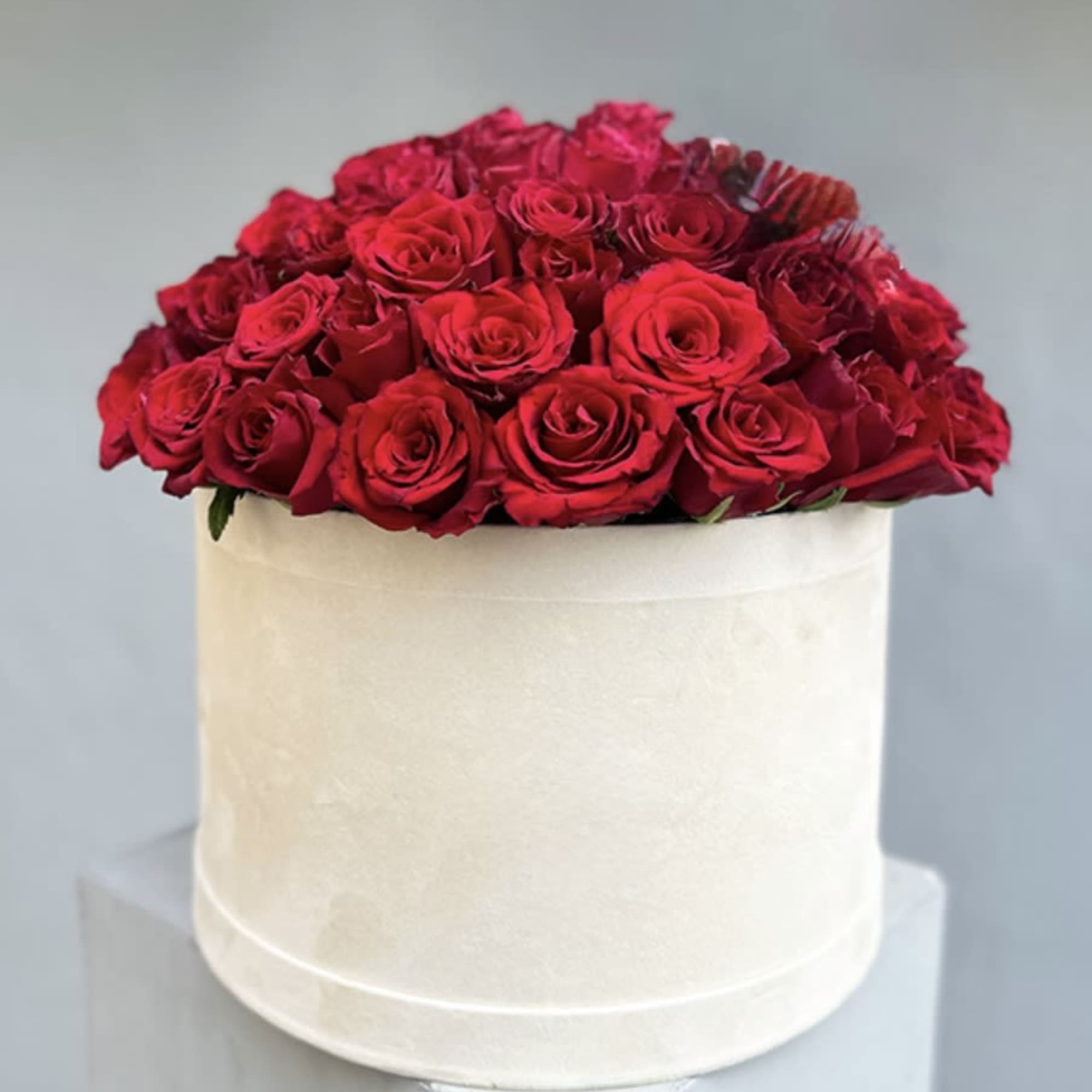 Premium red roses in a box arrangement.